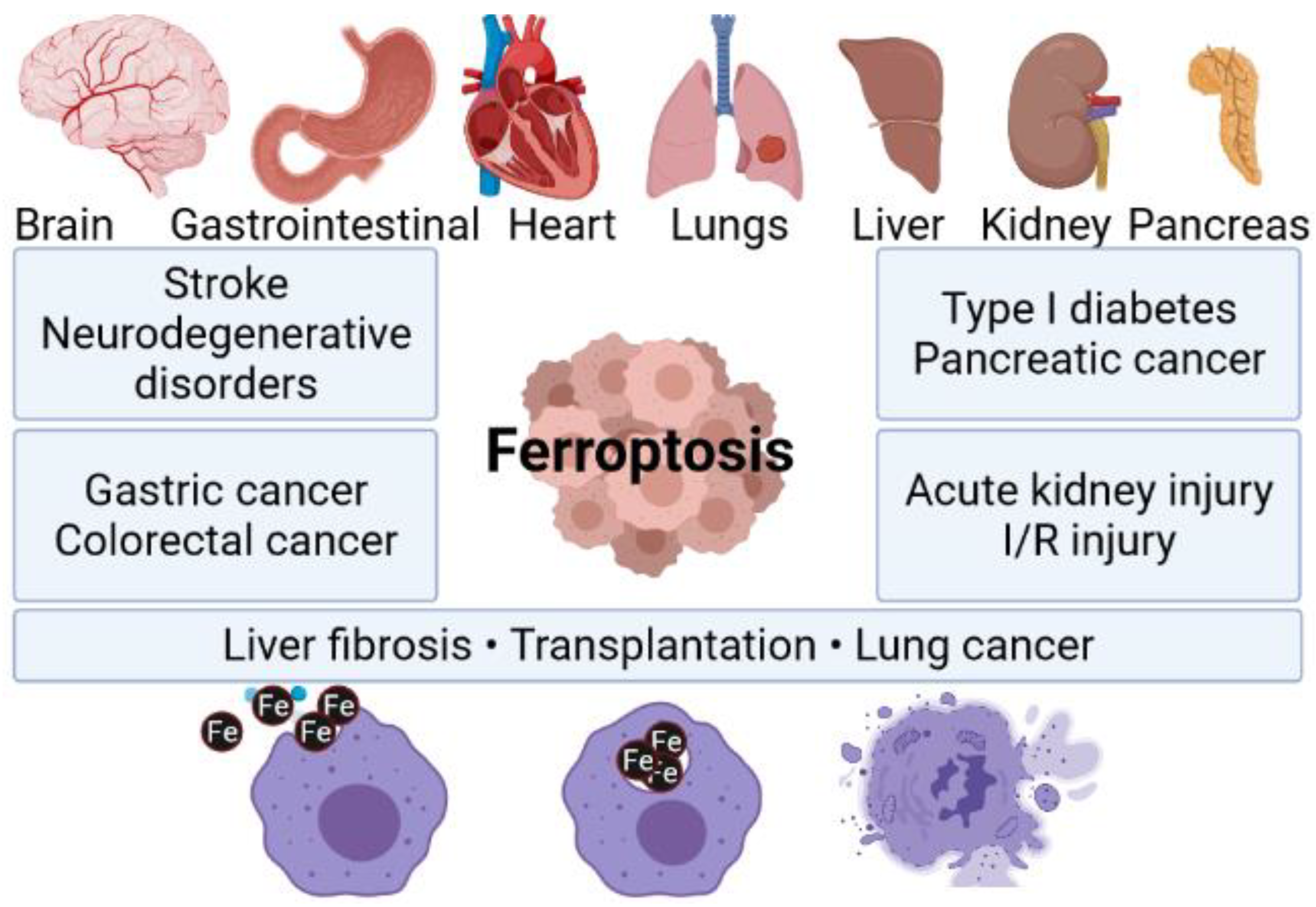 Materials 15 03456 g001