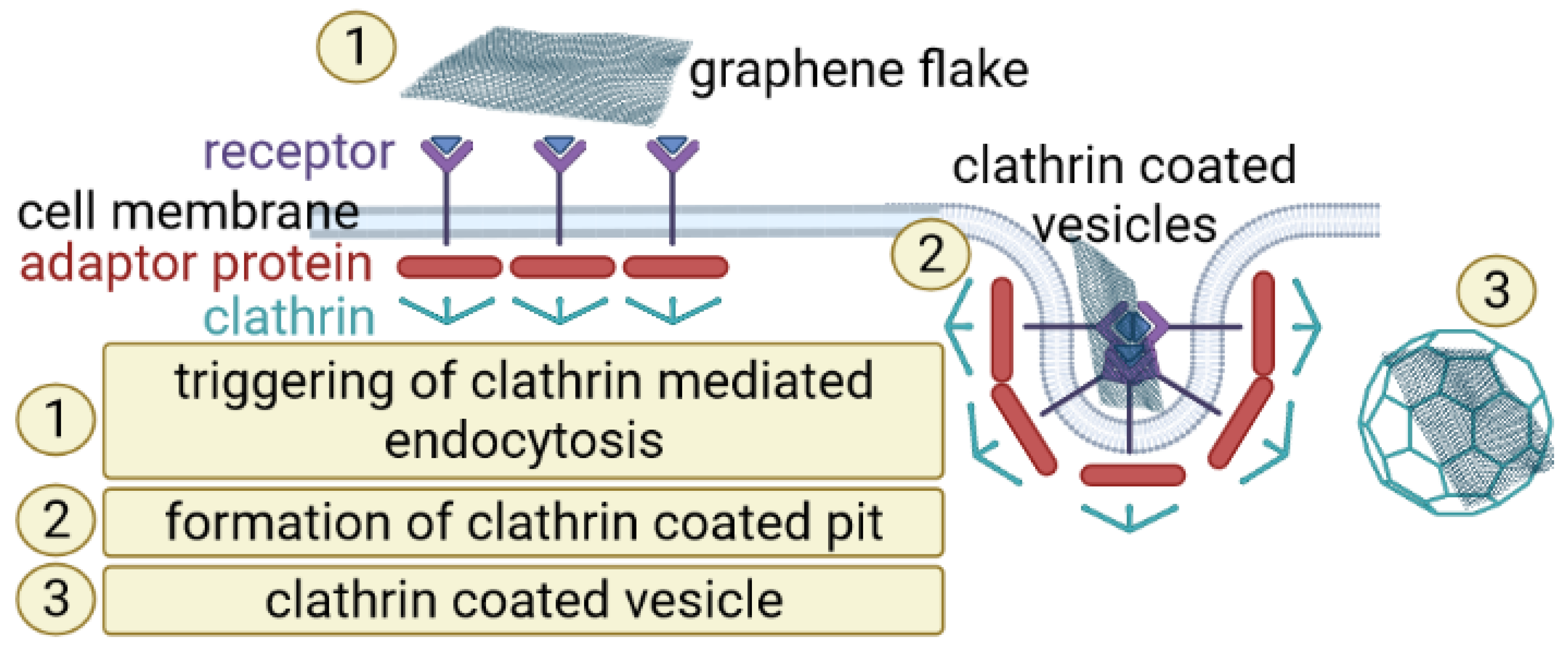 Materials 15 03456 g002