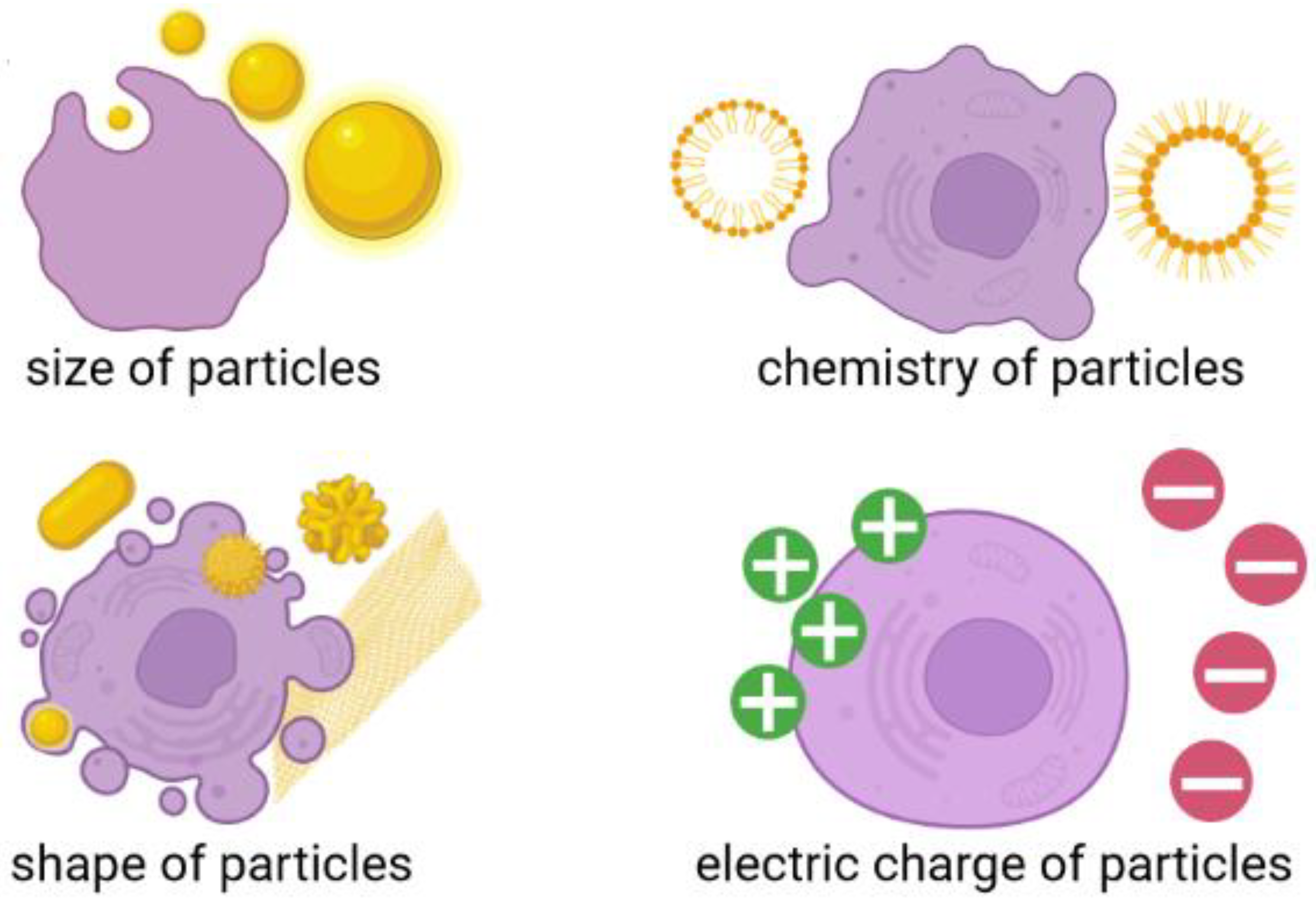 Materials 15 03456 g003