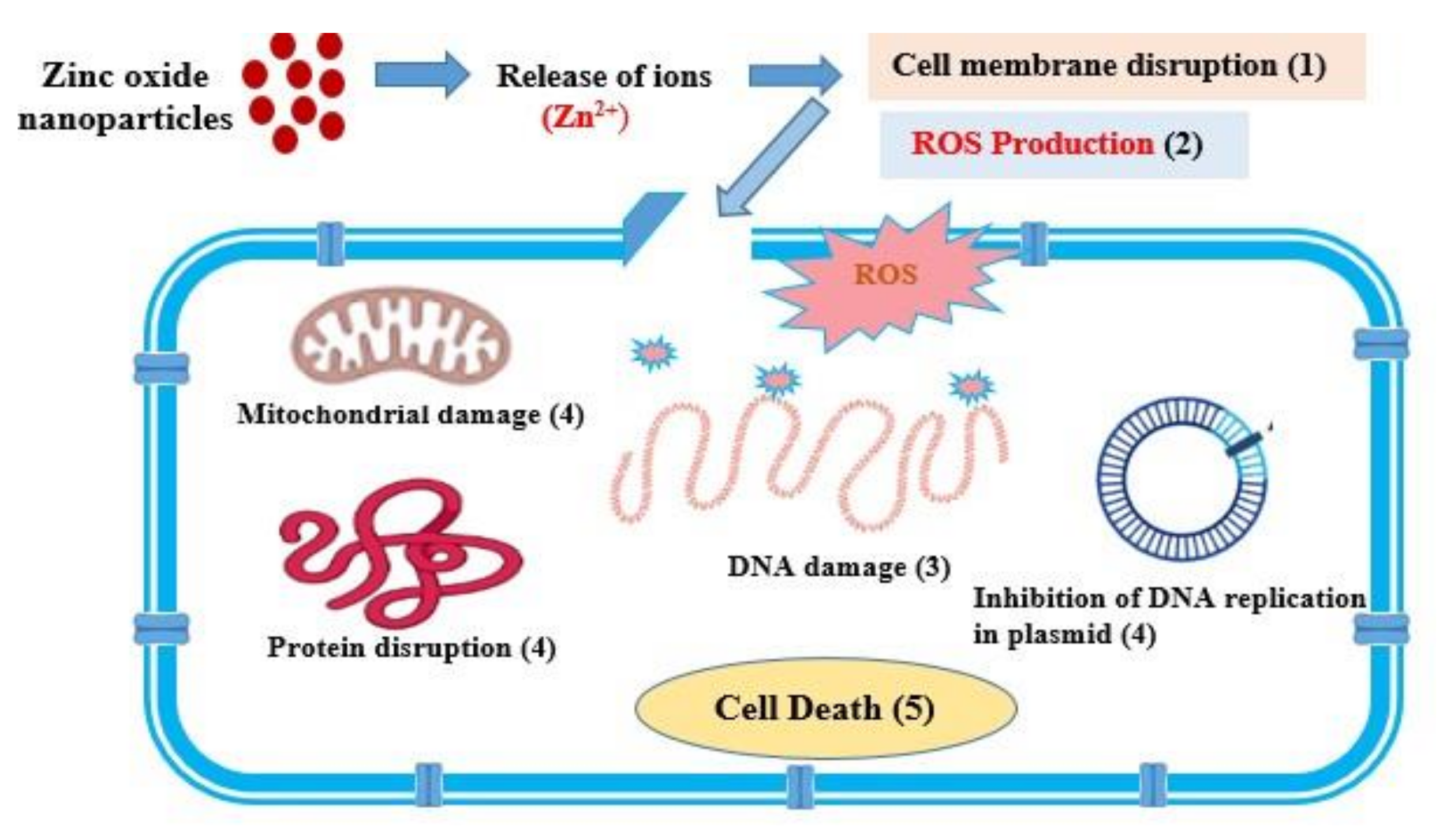Materials 15 03470 g011