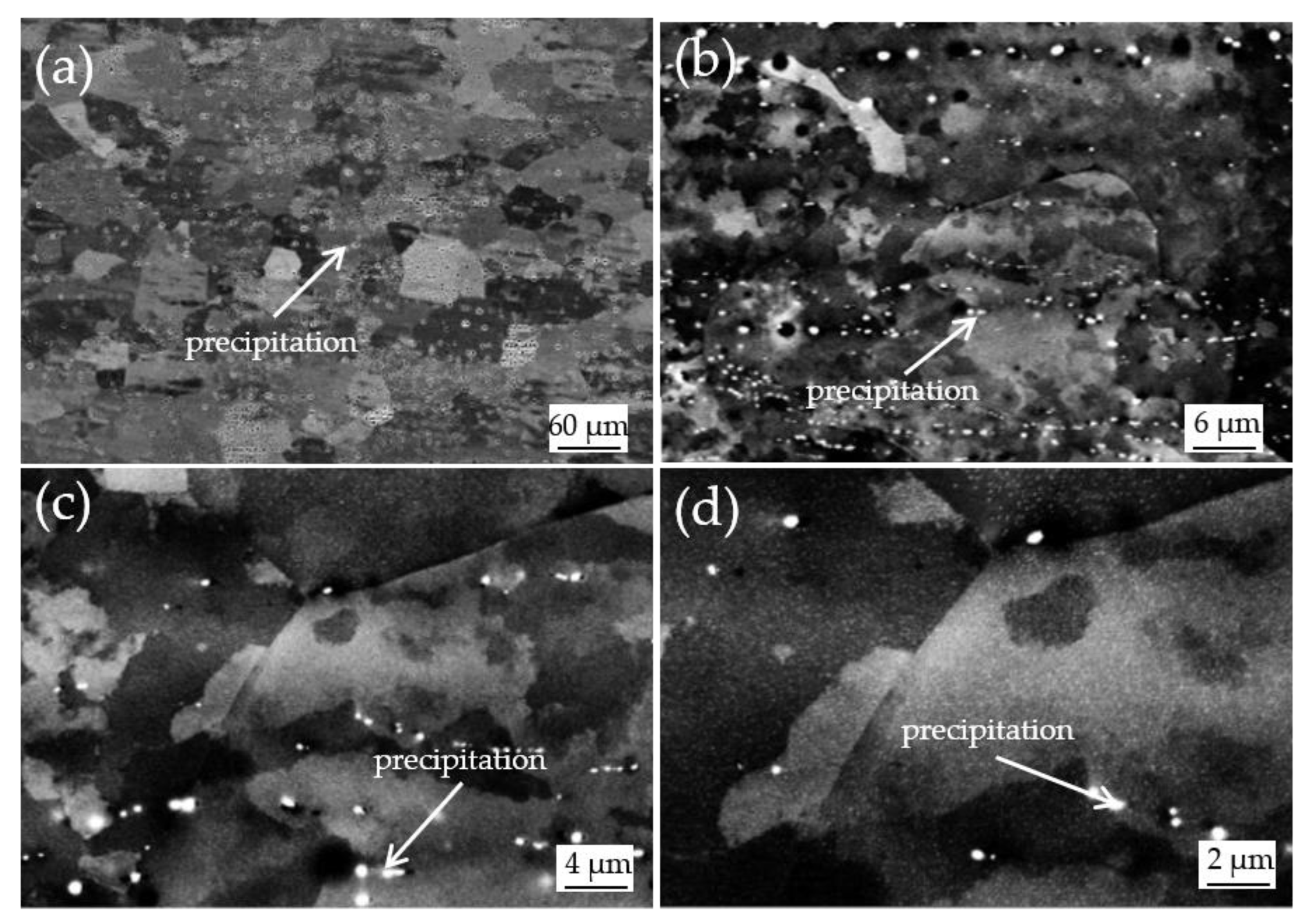 Materials 15 03489 g010