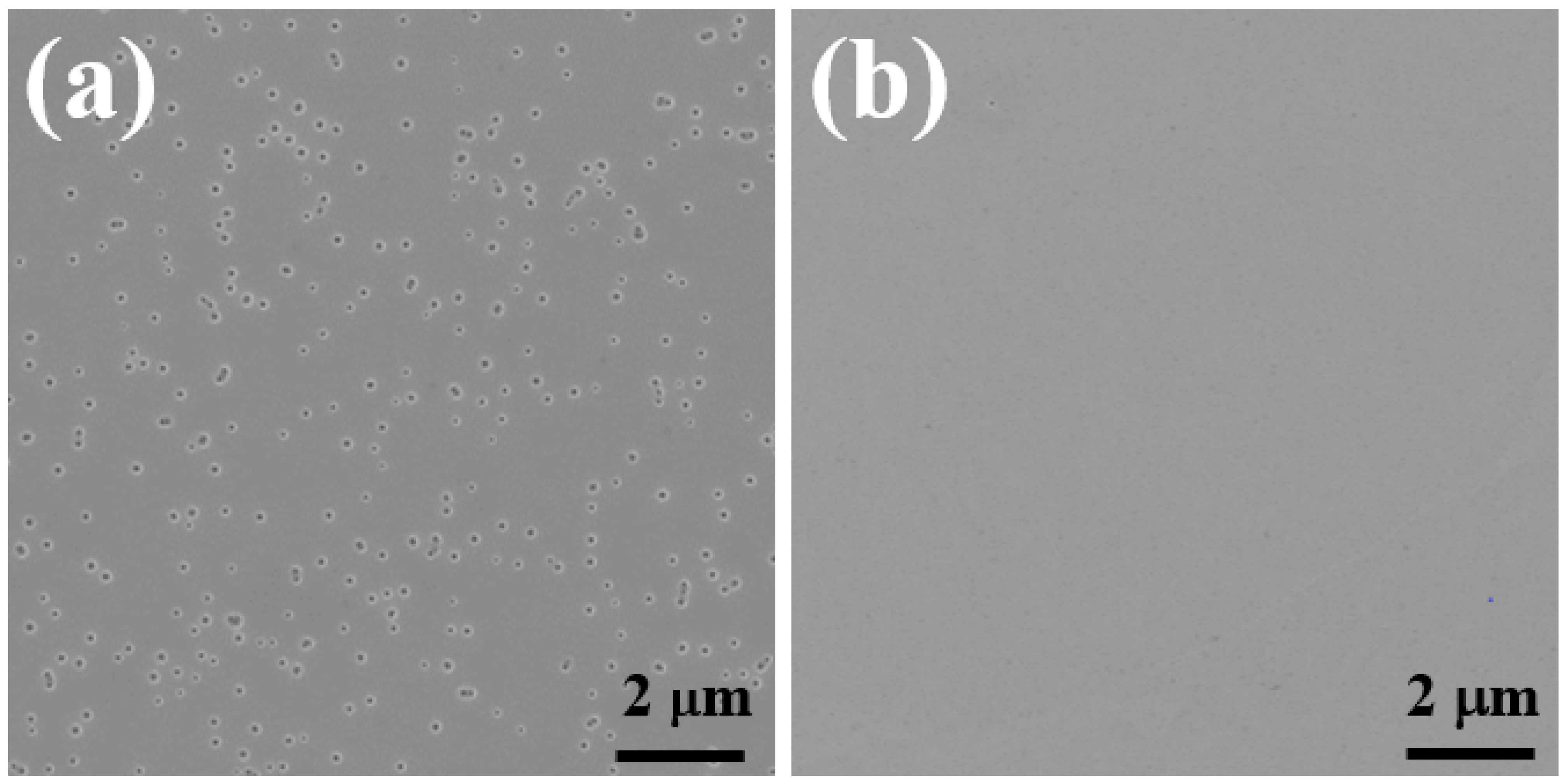 Materials 15 03536 g001 Materials 15 03536 g001