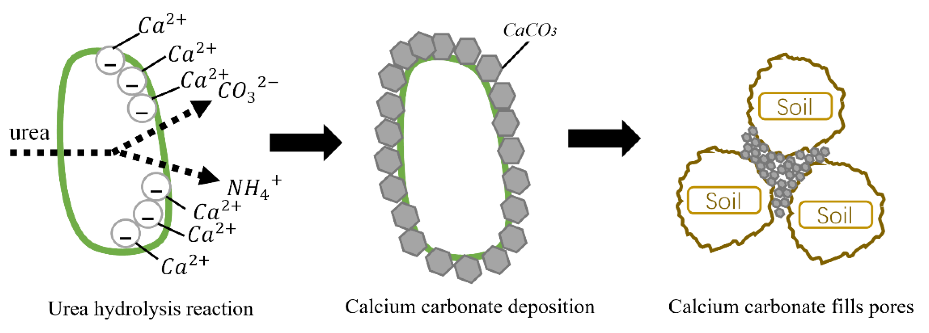 Materials 15 03586 g003