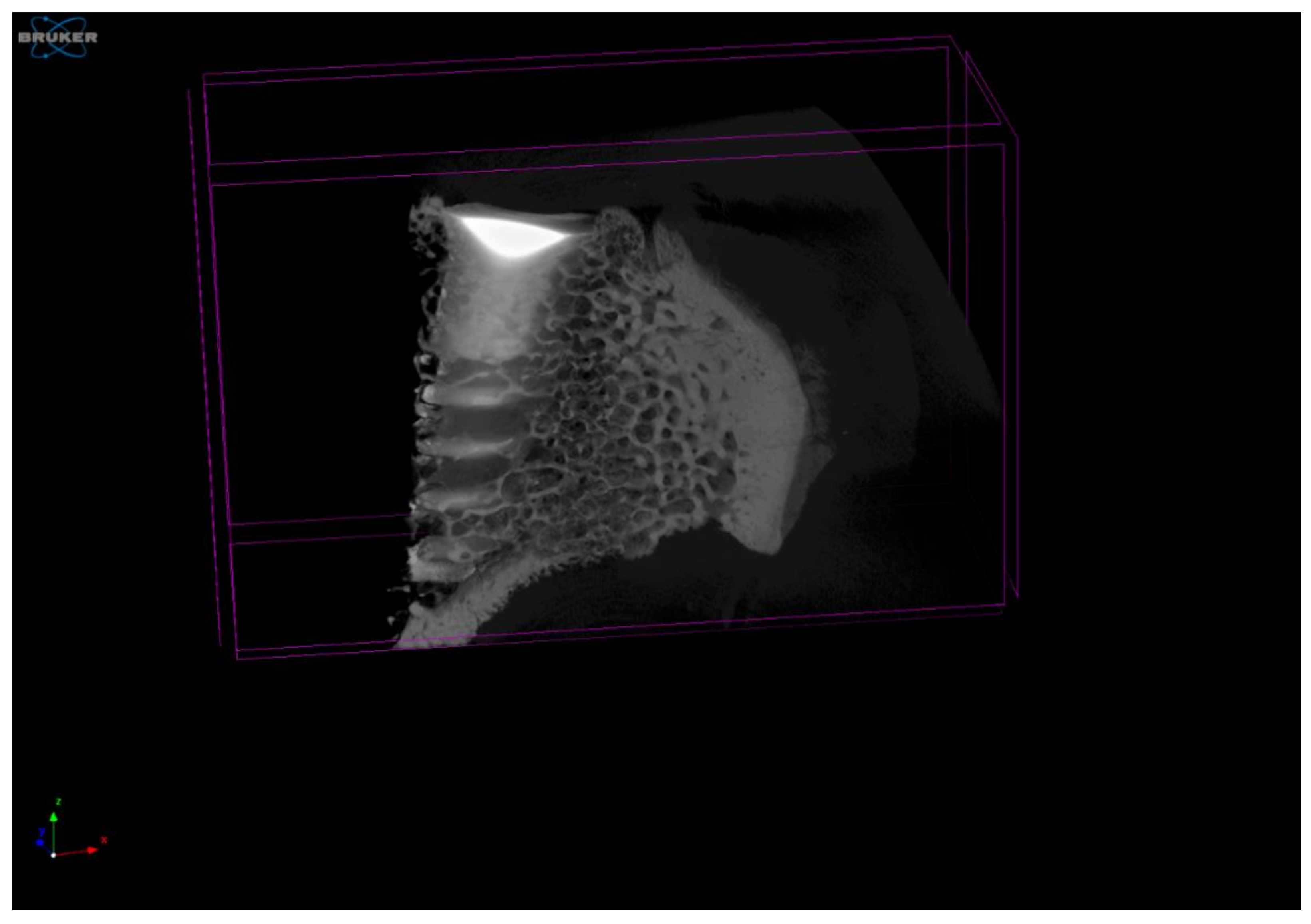 Materials 15 03636 g003