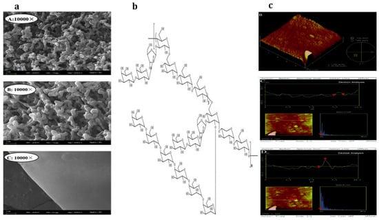 Materials 15 03654 g003 550