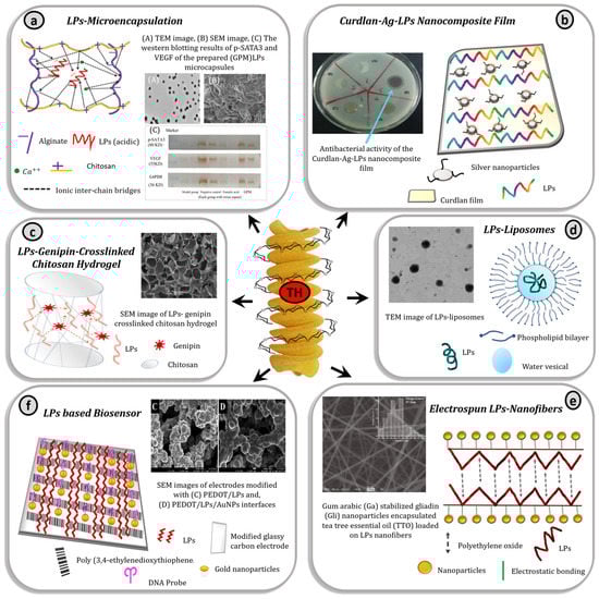 Materials 15 03654 g005 550