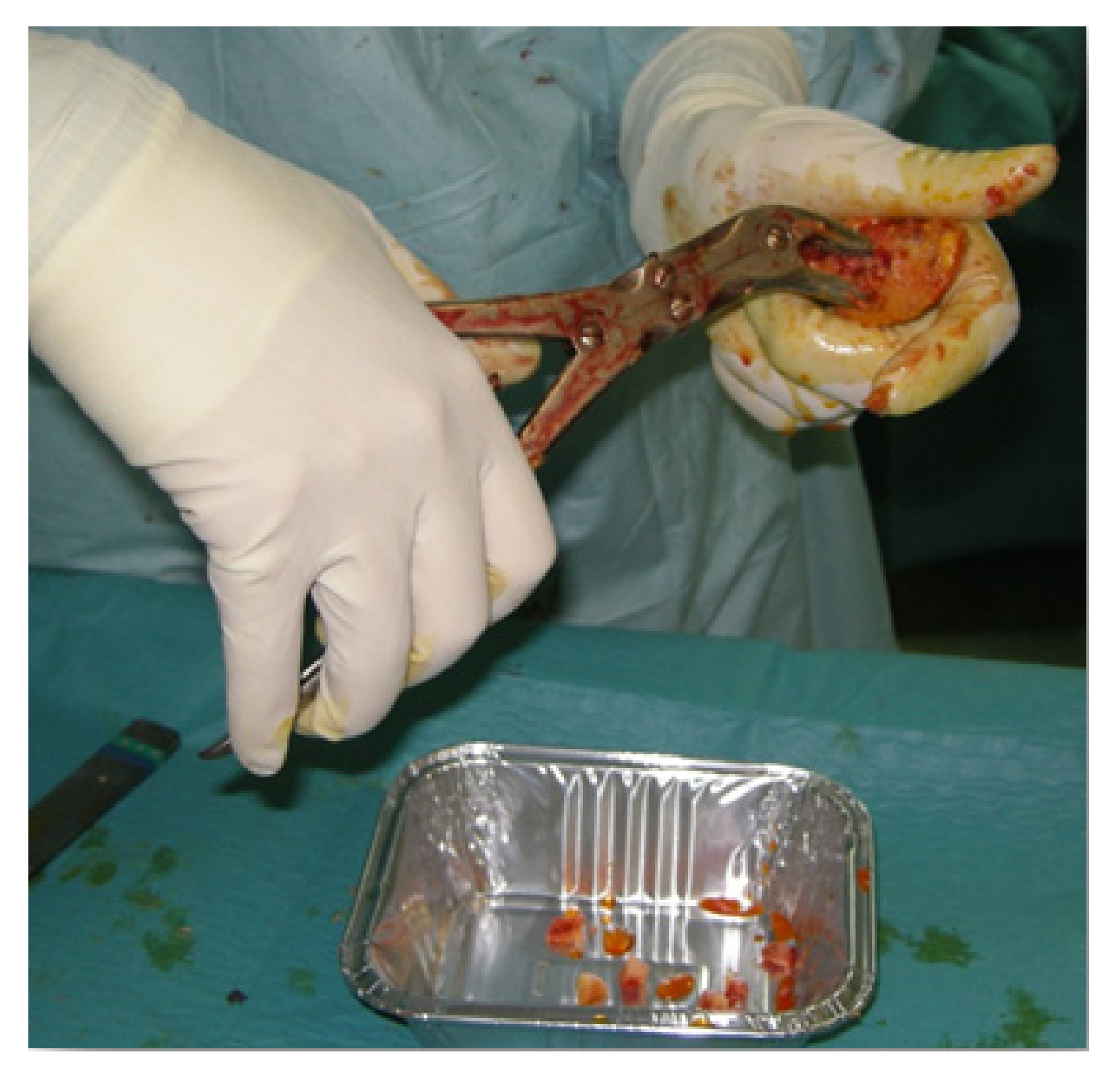 Materials 15 03728 g002