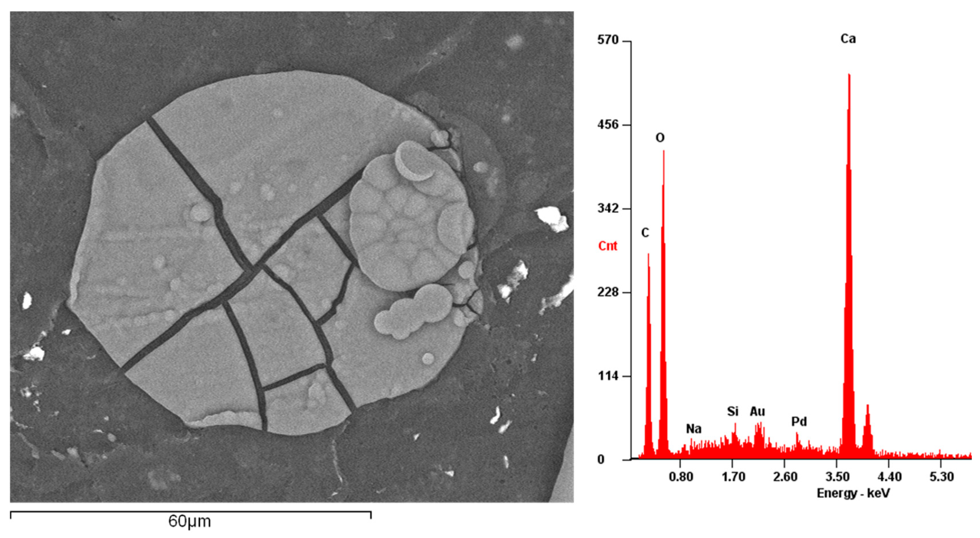 Materials 15 03817 g015
