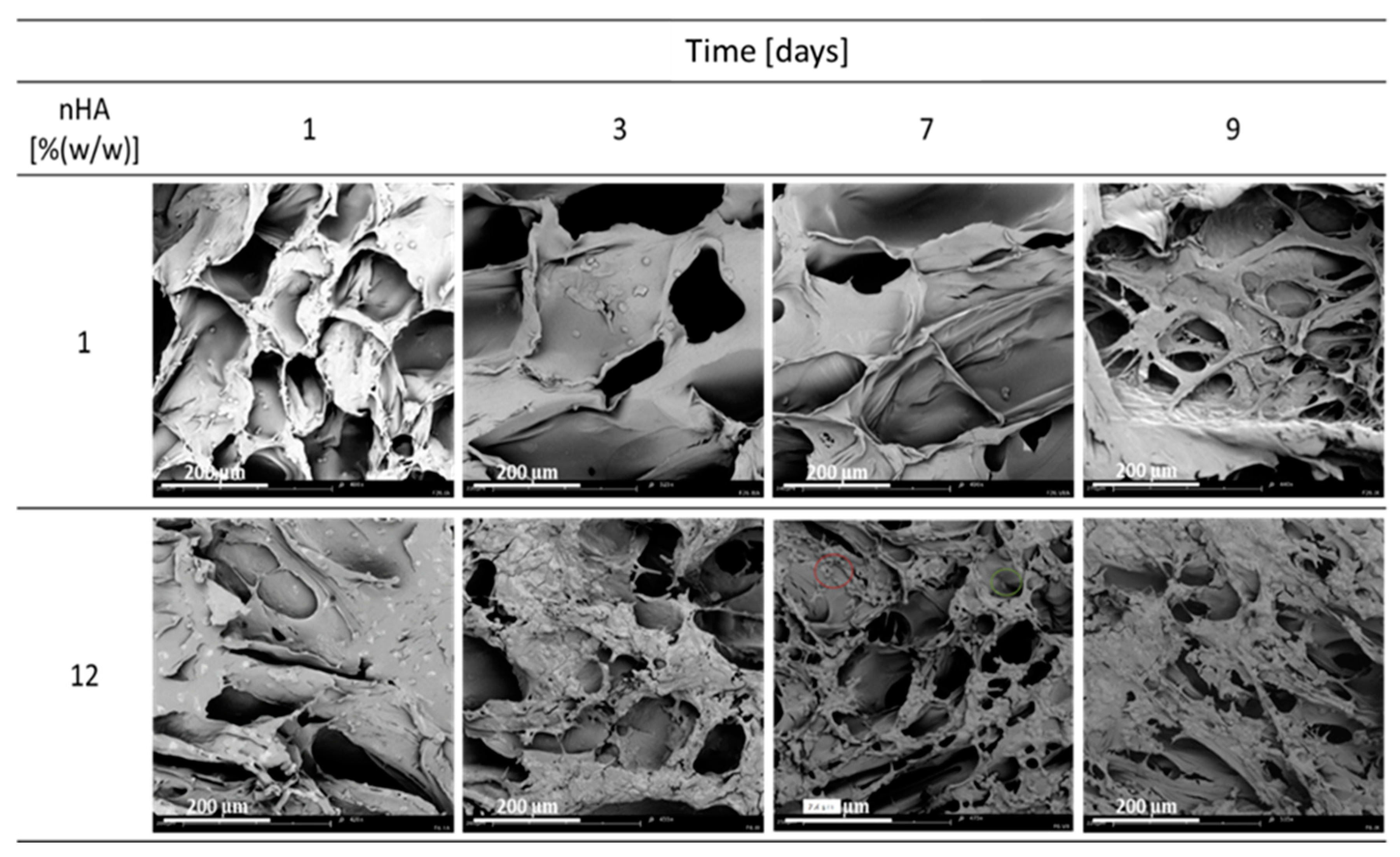 Materials 15 03858 g003