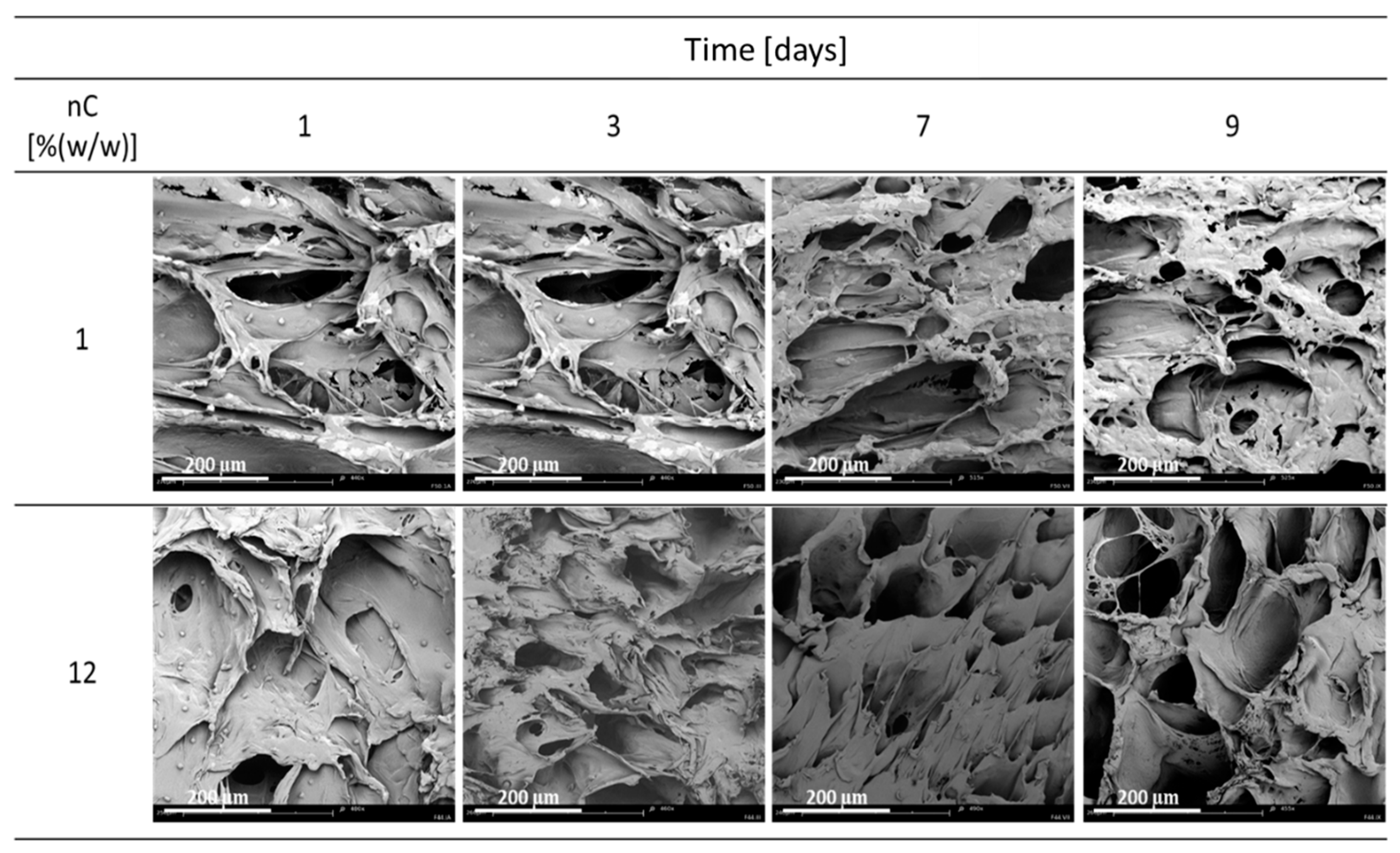 Materials 15 03858 g005