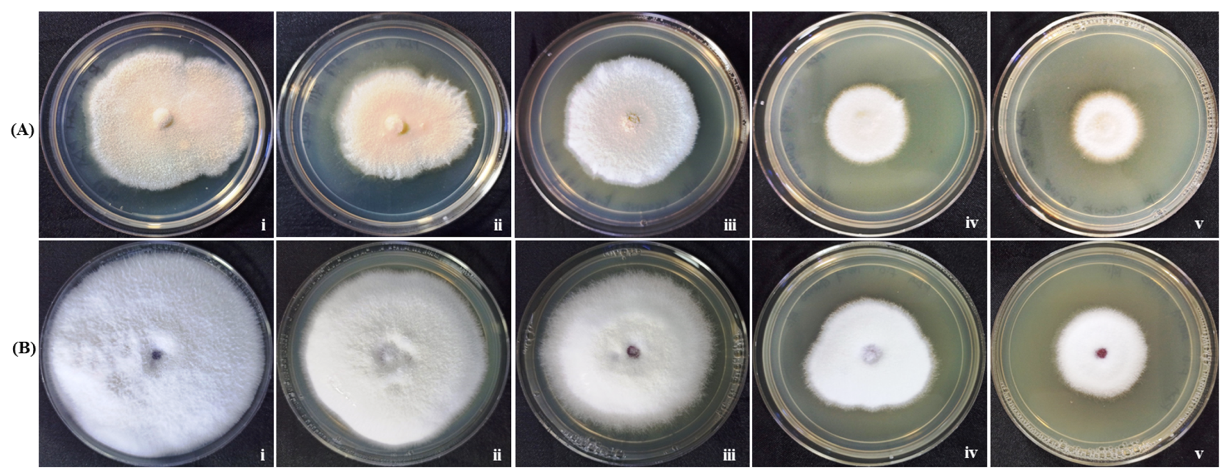 Materials 15 03877 g009 Materials 15 03877 g009