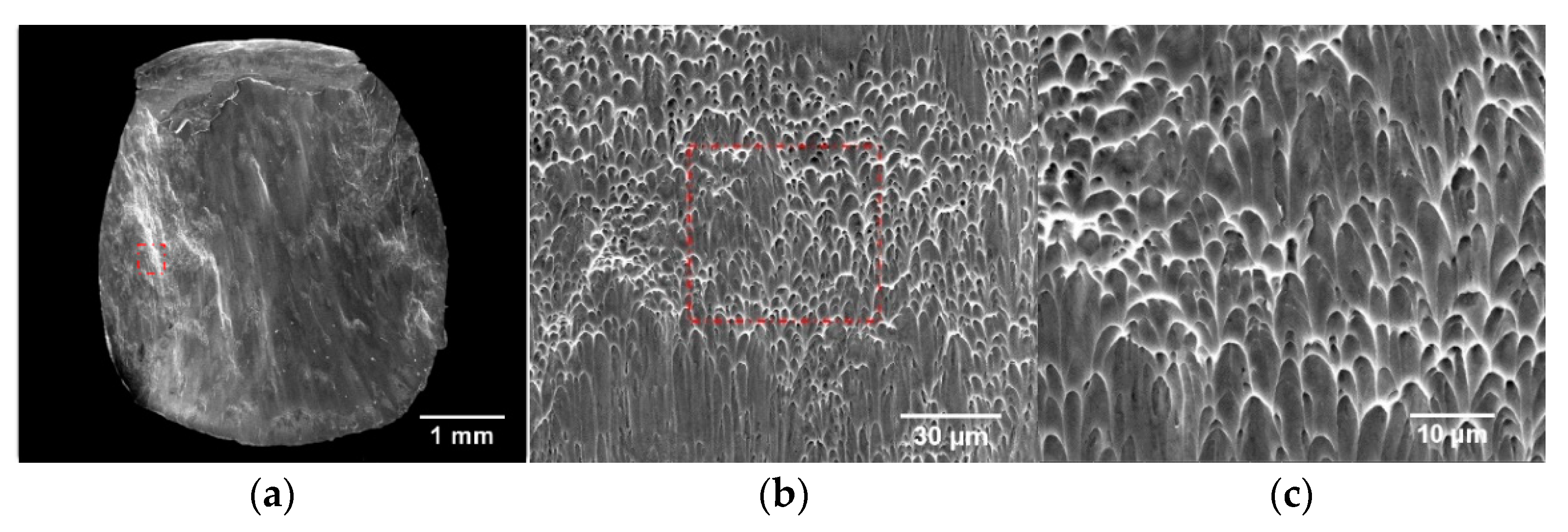Materials 15 03917 g018 Materials 15 03917 g018