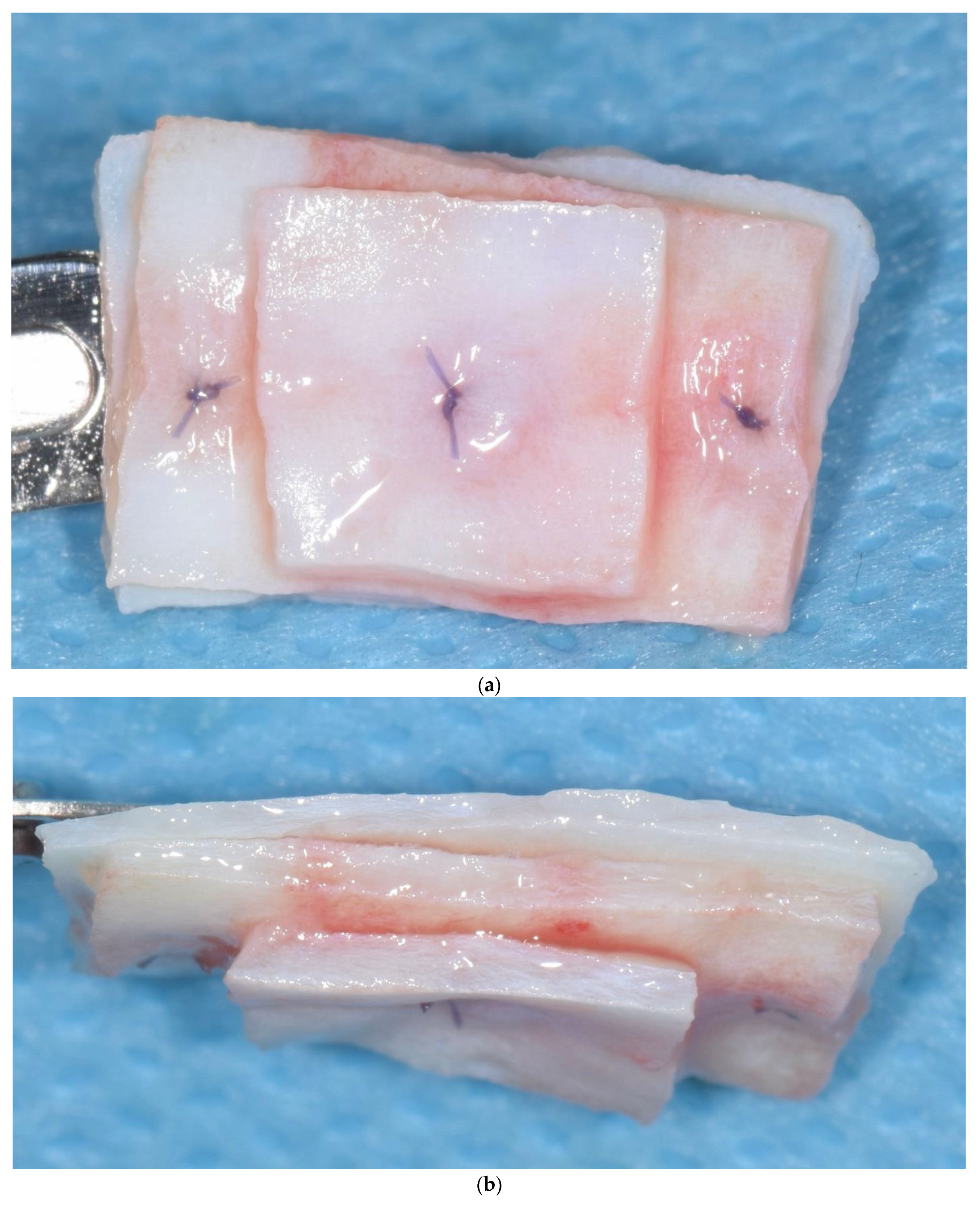 Materials 15 03937 g003