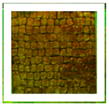 Materials 15 04005 i015