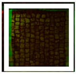 Materials 15 04005 i017