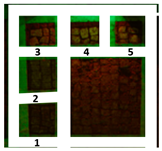 Materials 15 04005 i018