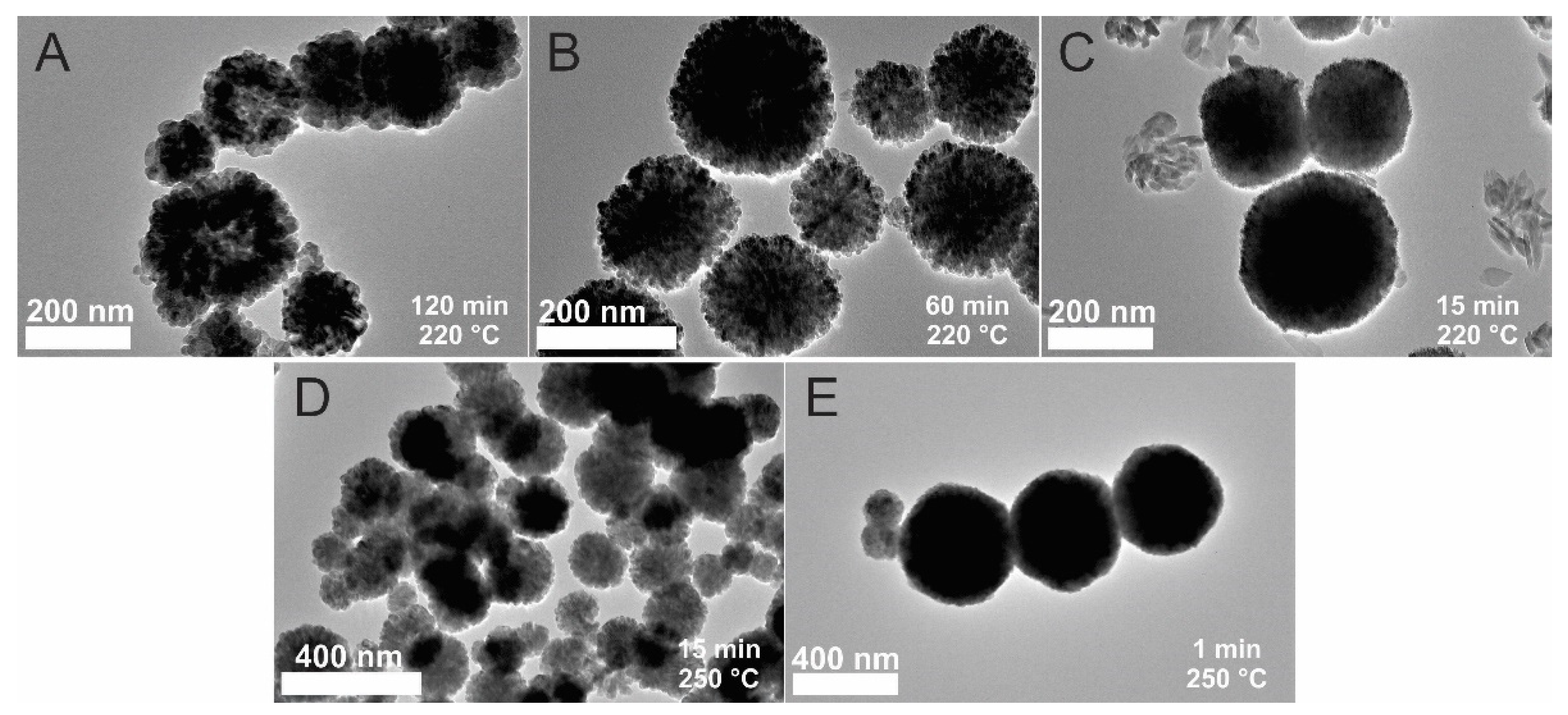 Materials 15 04008 g005