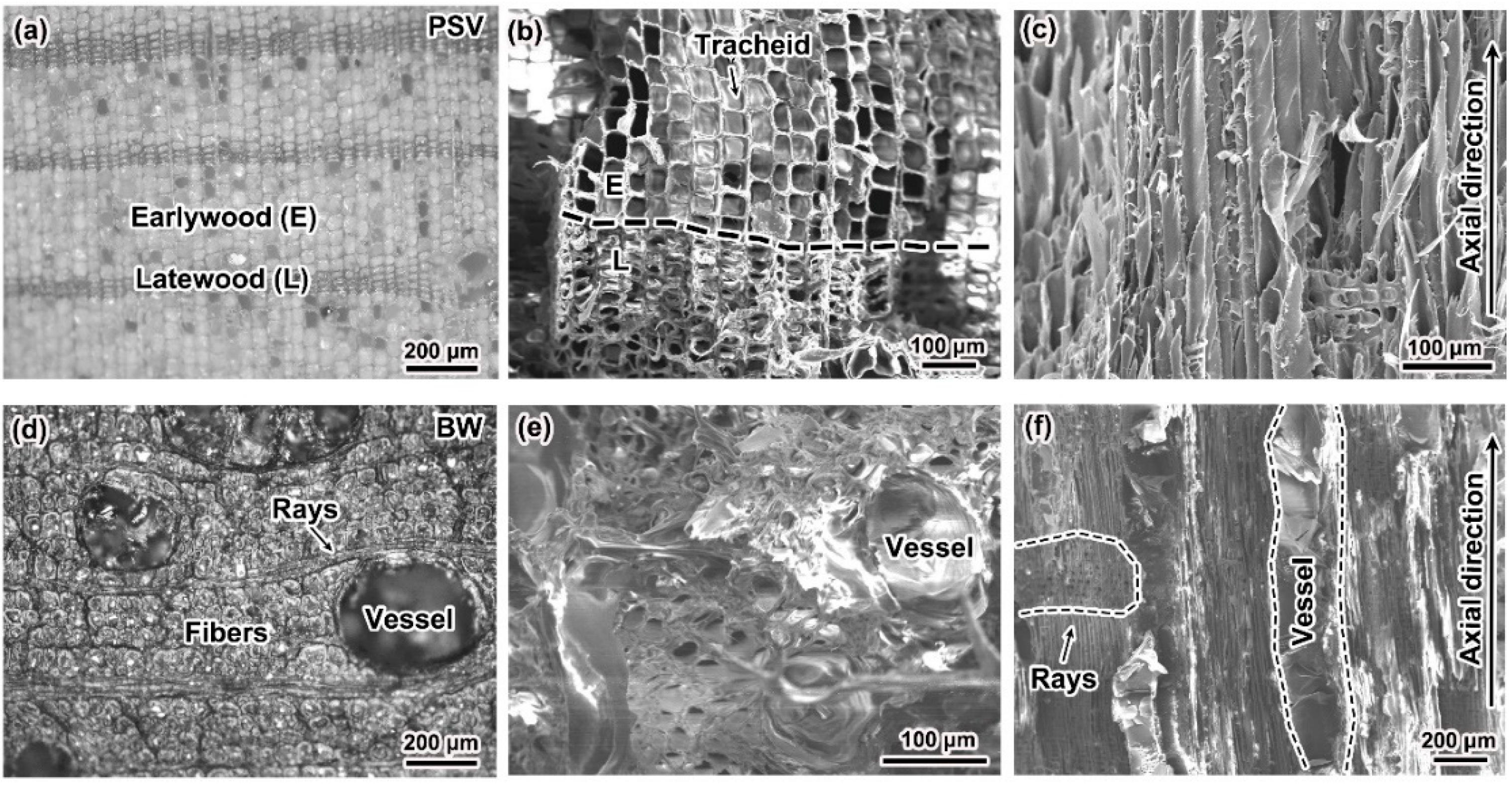 Materials 15 04039 g002