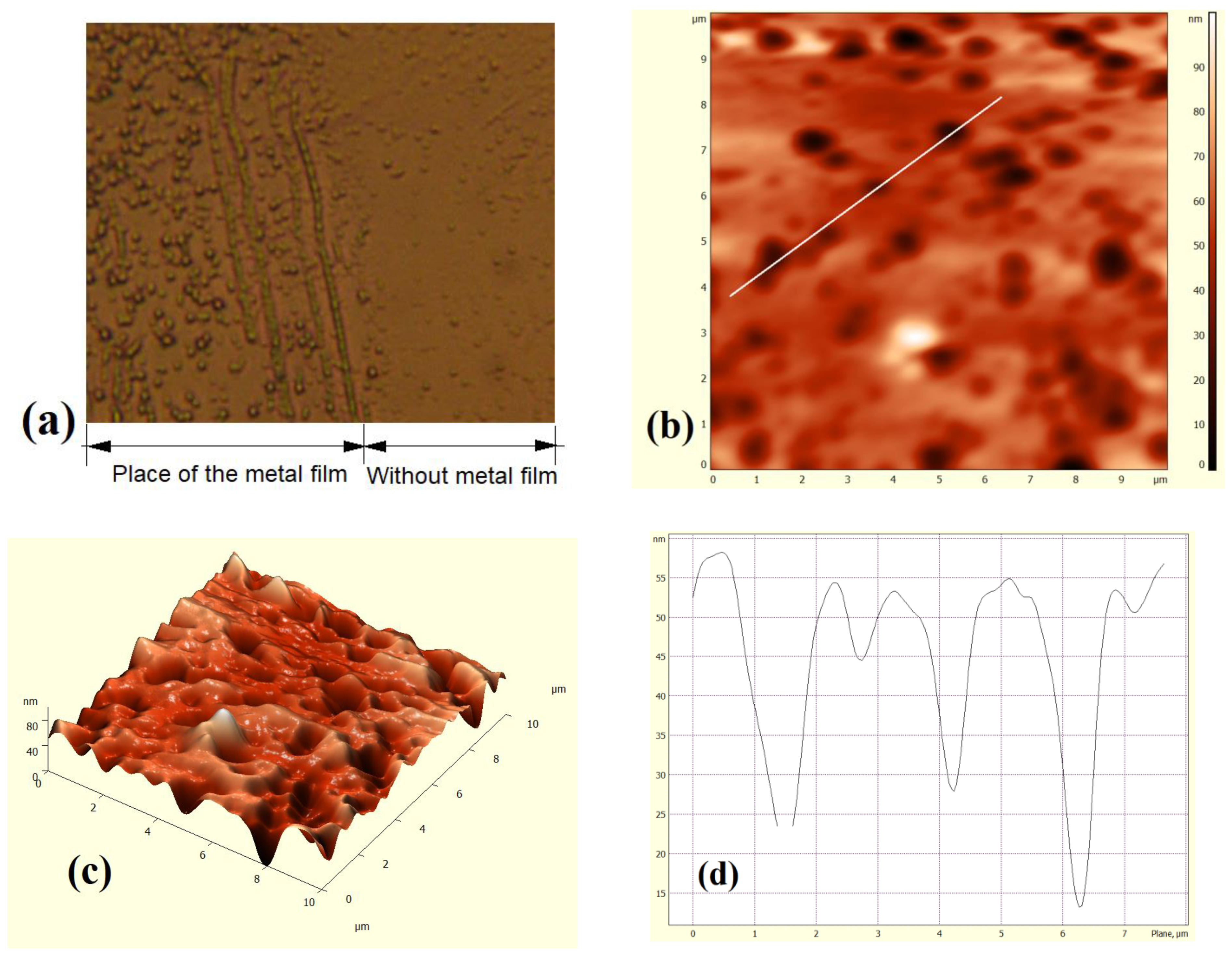 Materials 15 04052 g006