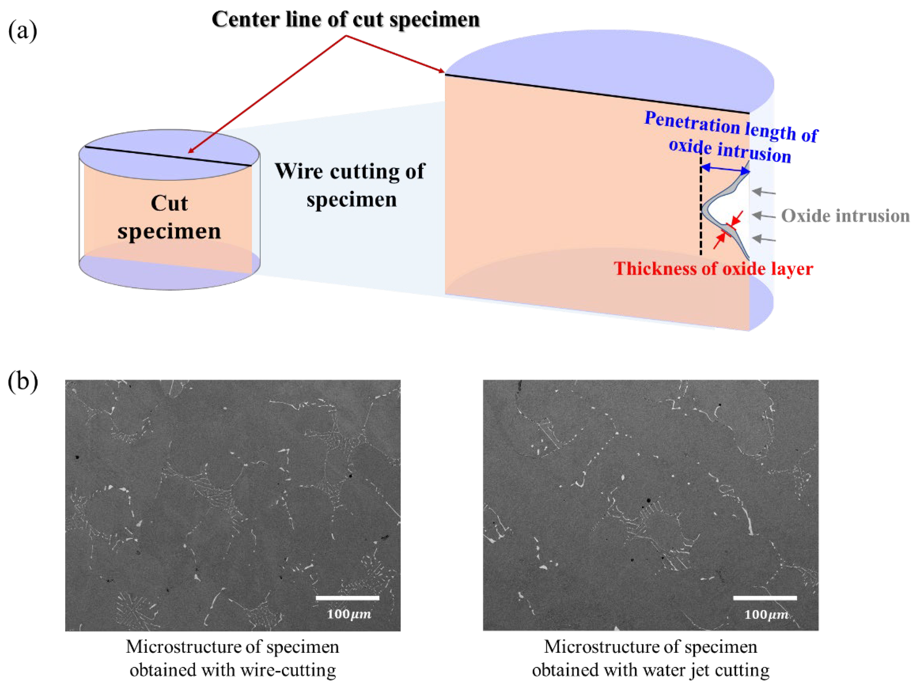 Materials 15 04073 g004