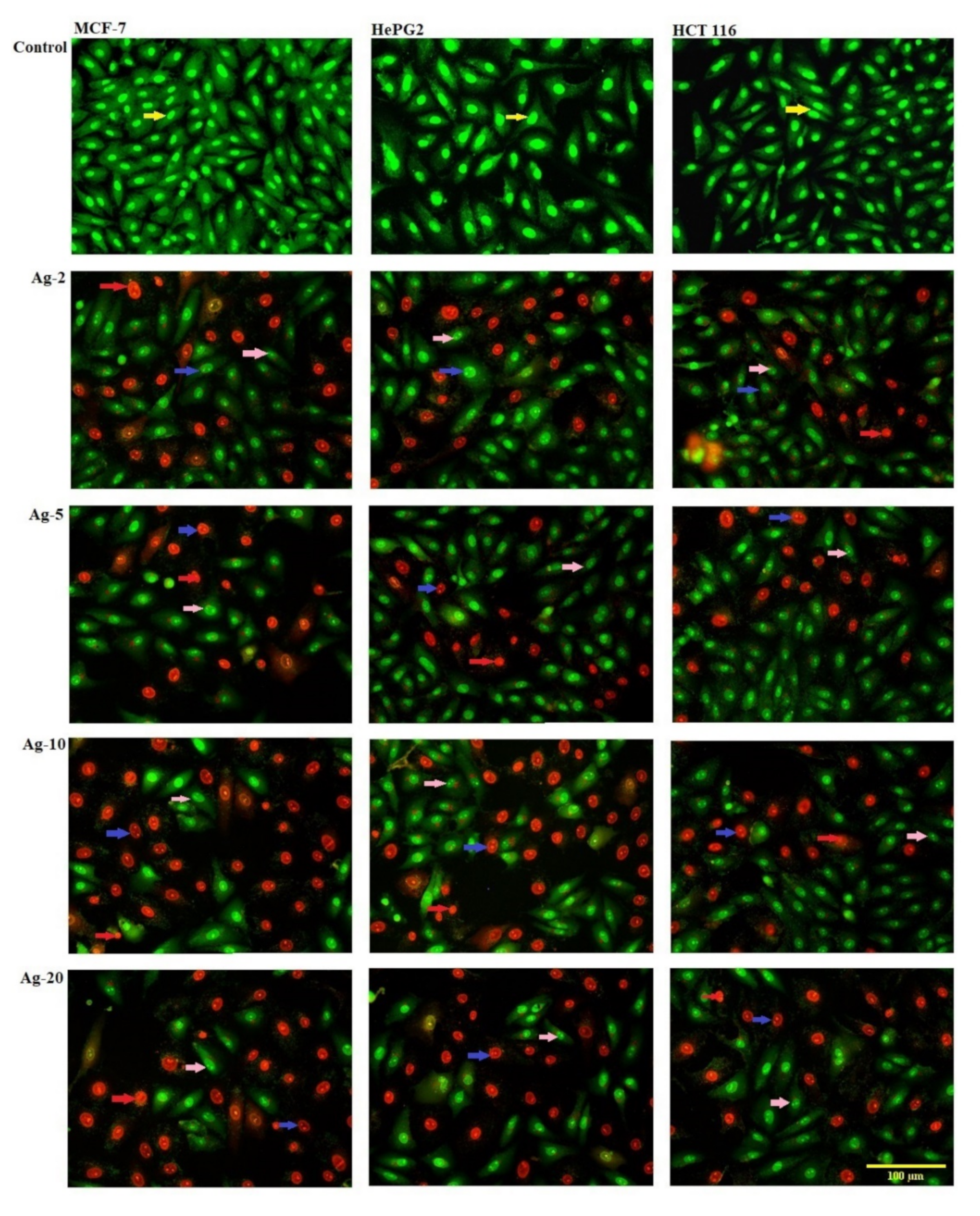 Materials 15 04074 g008