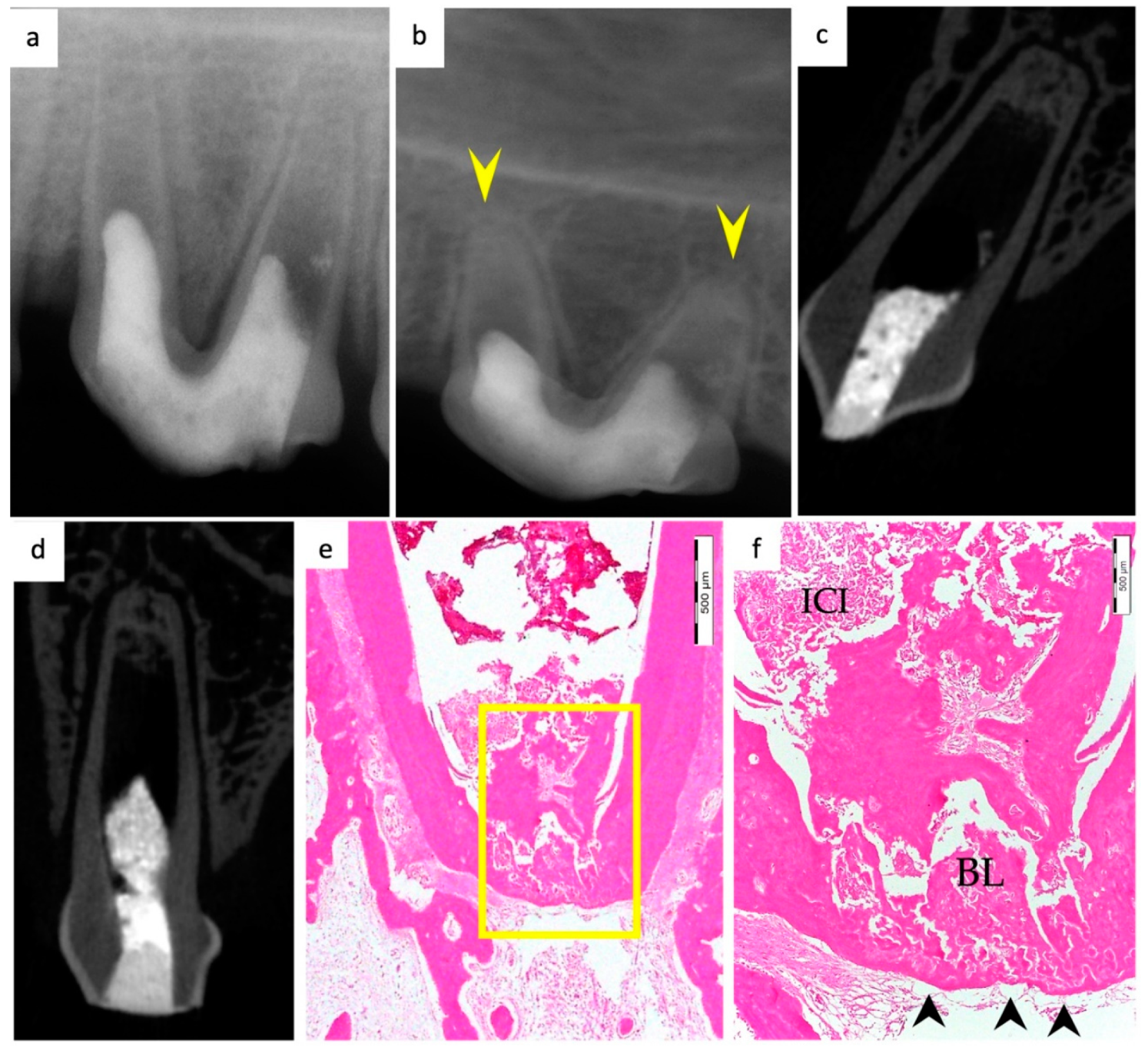 Materials 15 04095 g001