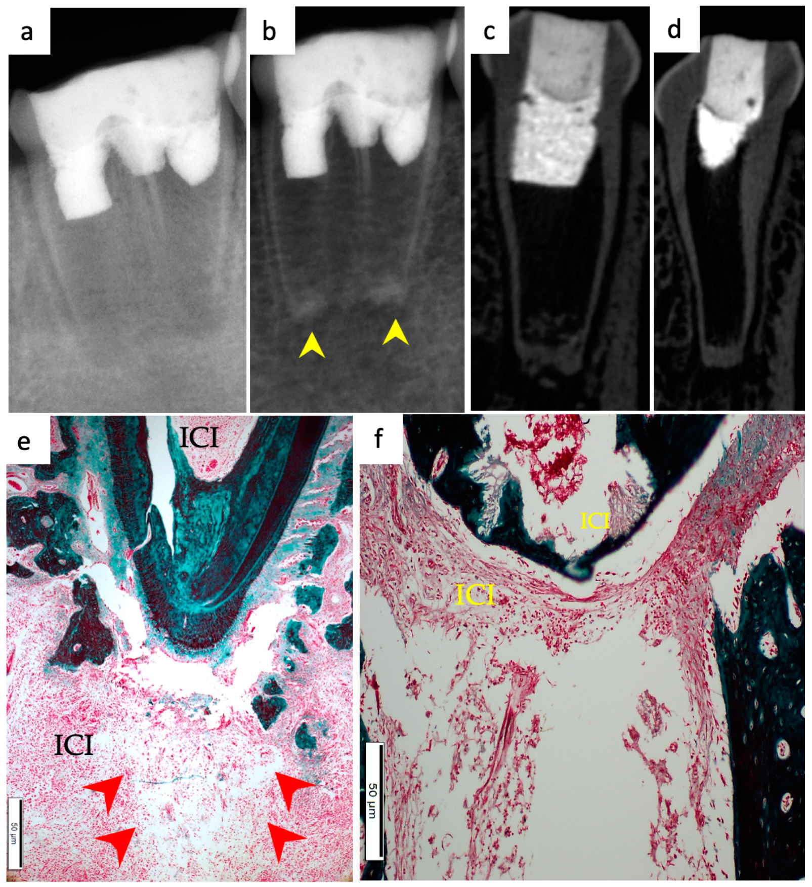 Materials 15 04095 g004
