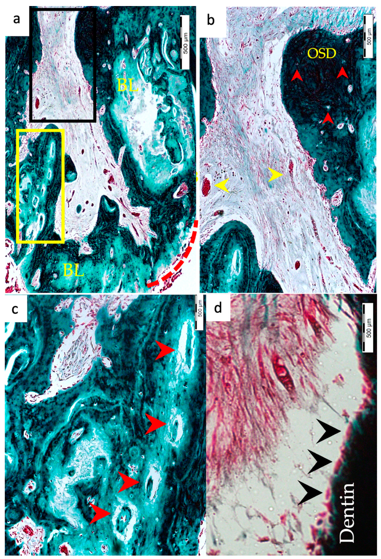 Materials 15 04095 g005