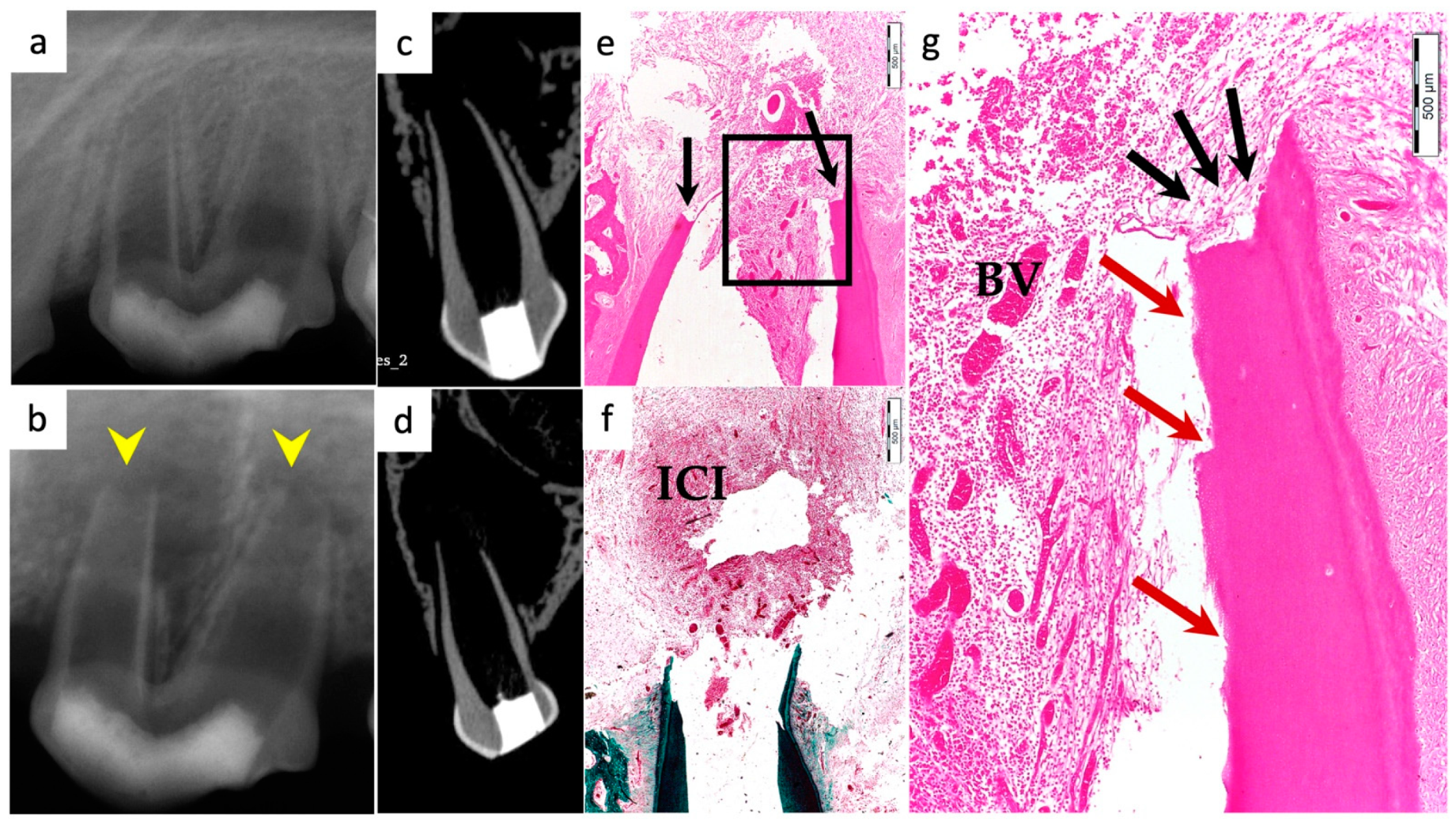 Materials 15 04095 g007