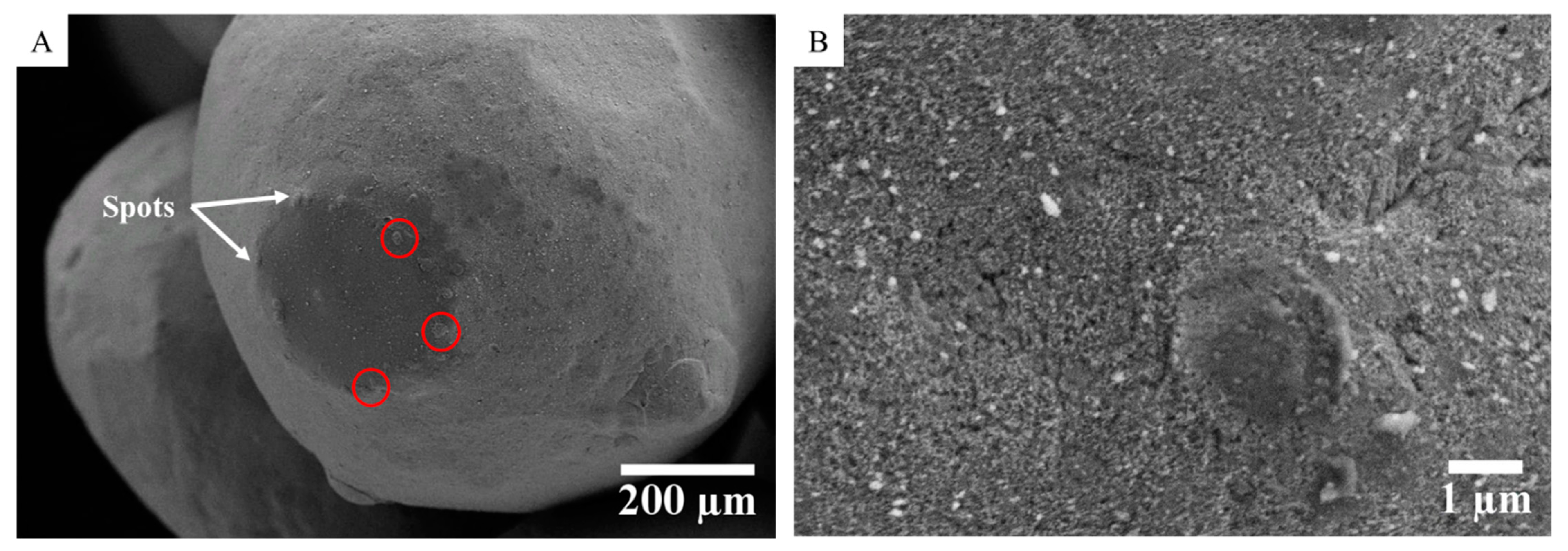 Materials 15 04096 g005