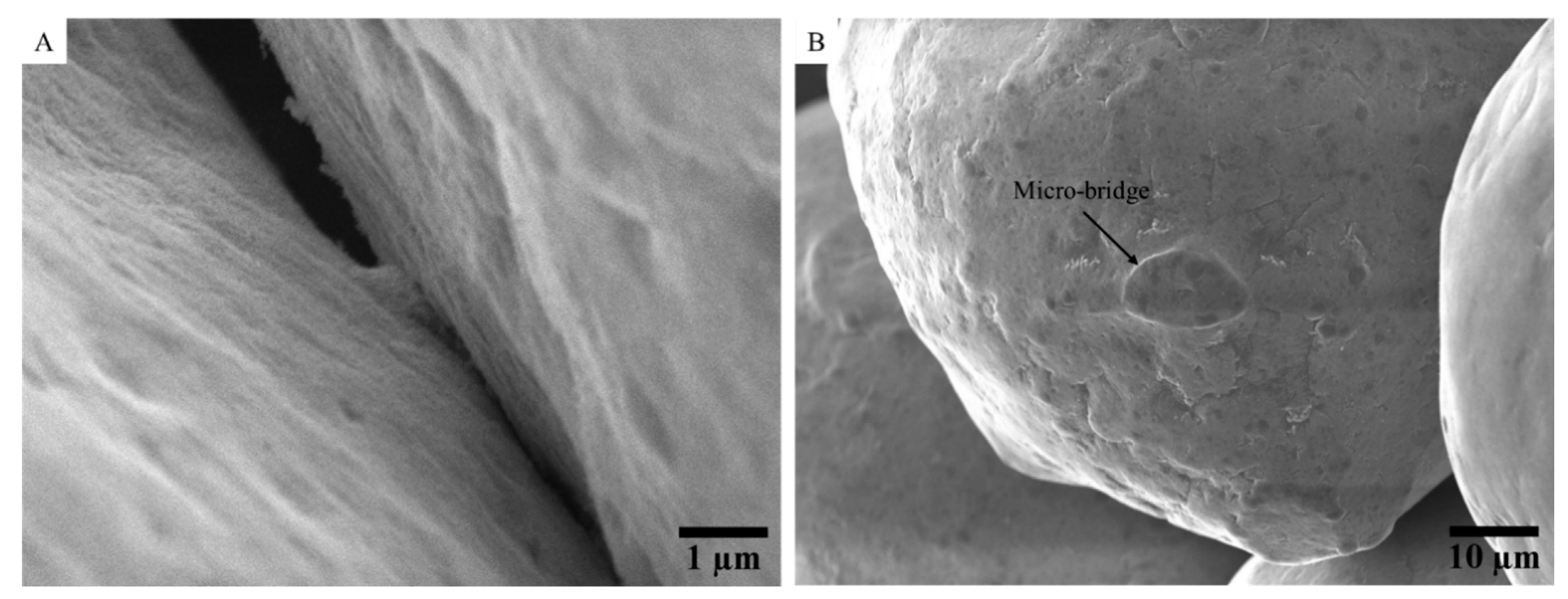 Materials 15 04096 g006