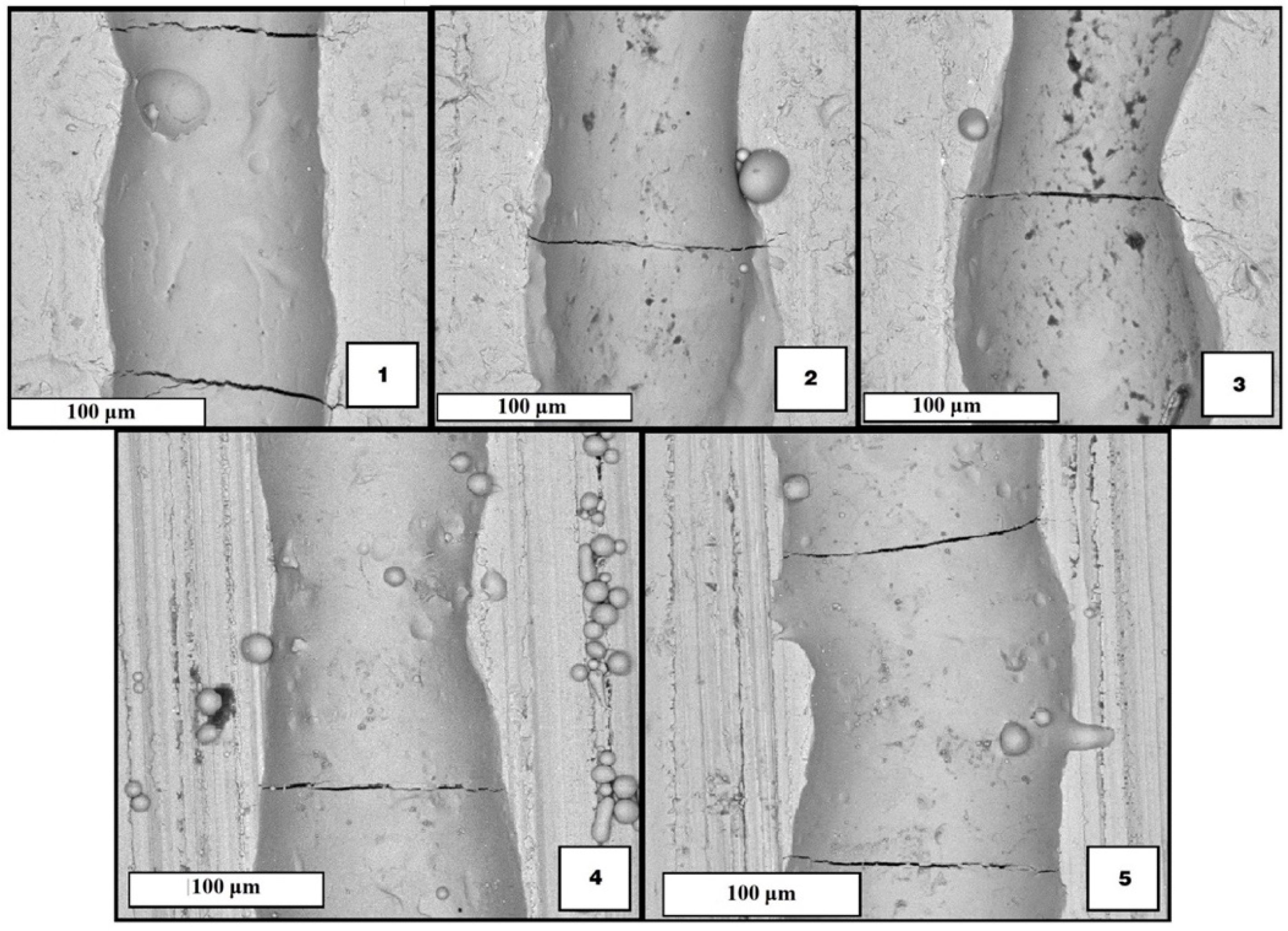 Materials 15 04121 g006