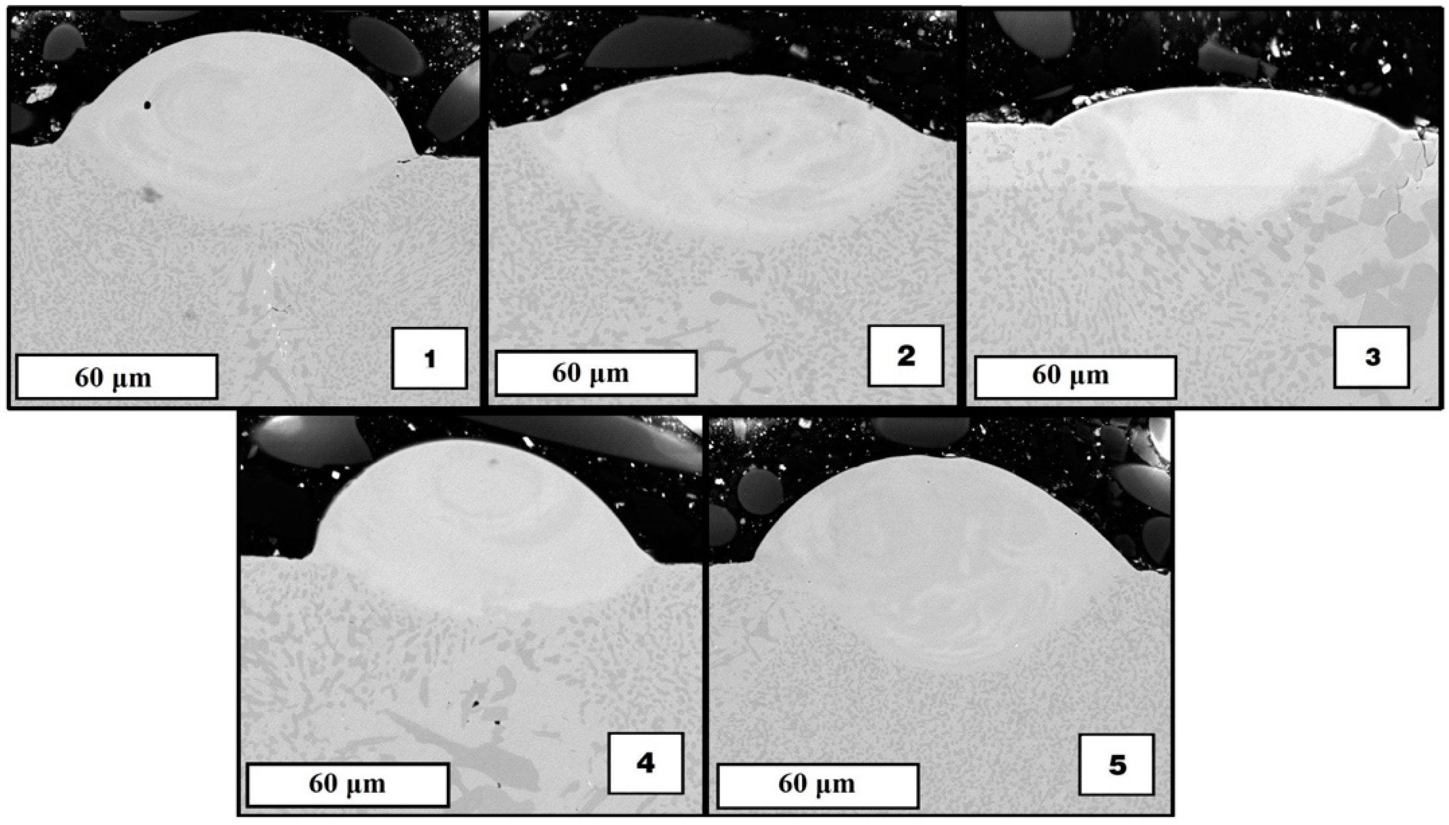 Materials 15 04121 g007