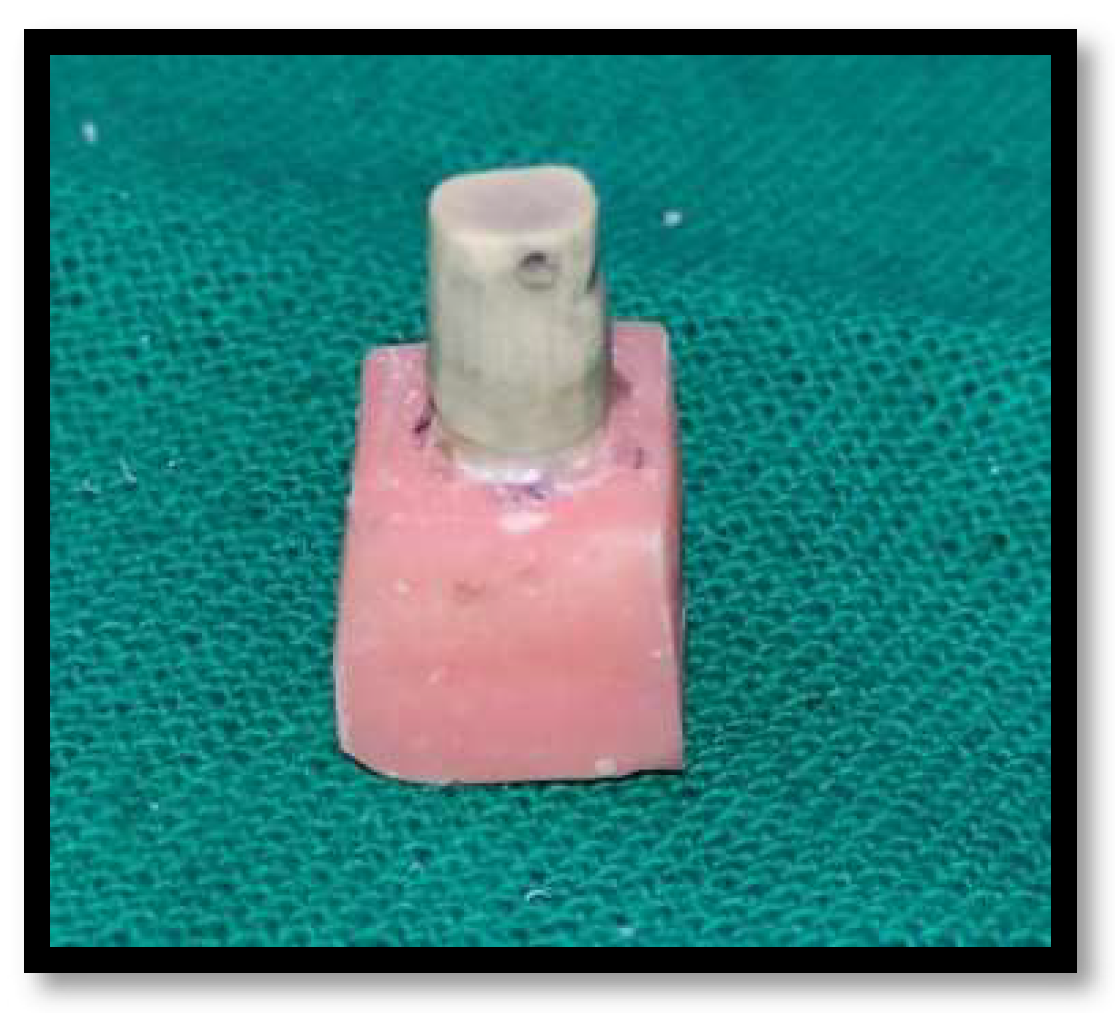 Materials 15 04167 g003