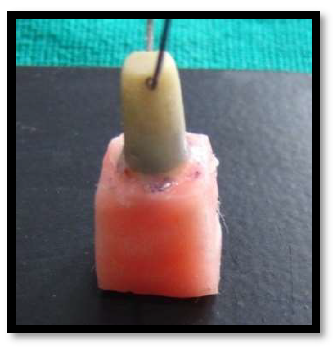 Materials 15 04167 g004