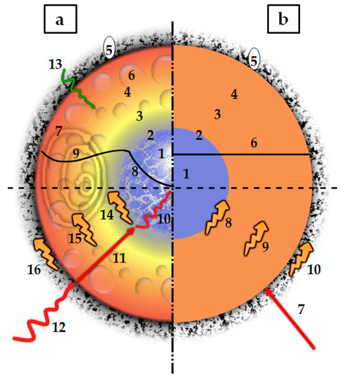 Materials 15 04215 g005