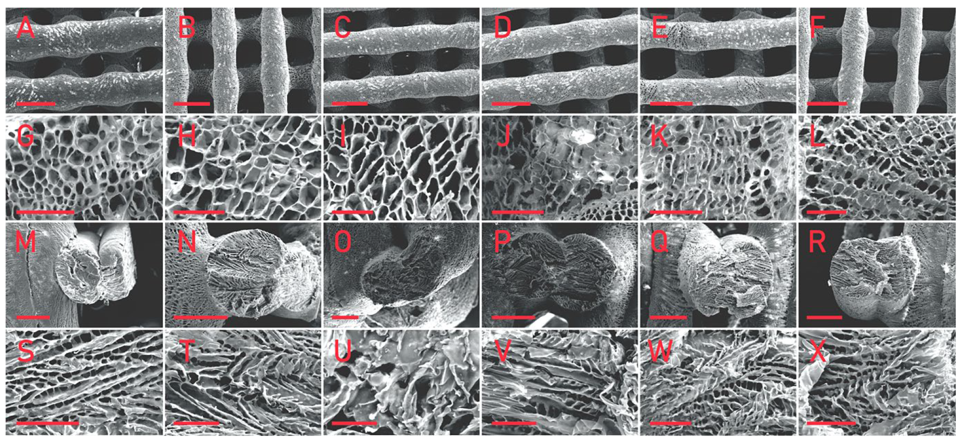 Materials 15 04280 g007