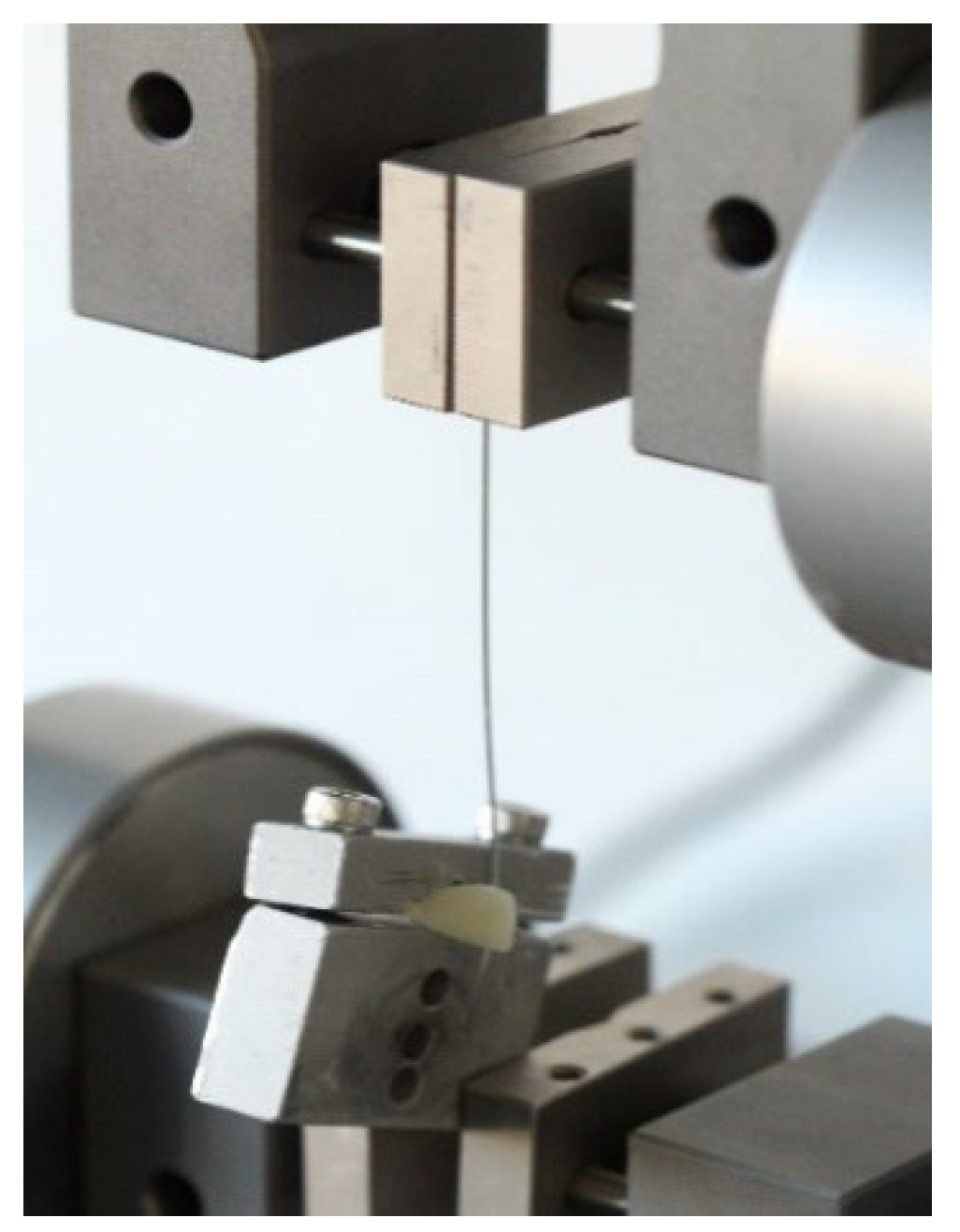 Materials 15 04304 g005