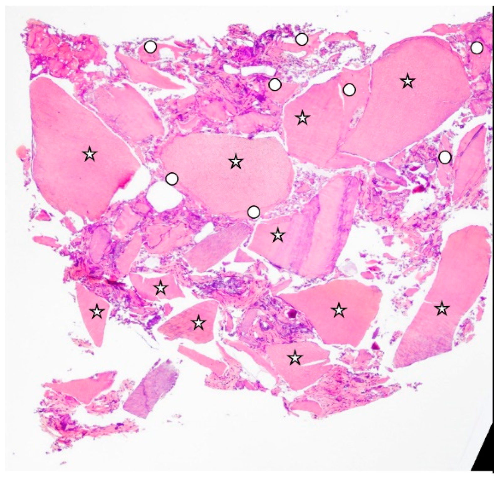 Materials 15 04319 g003