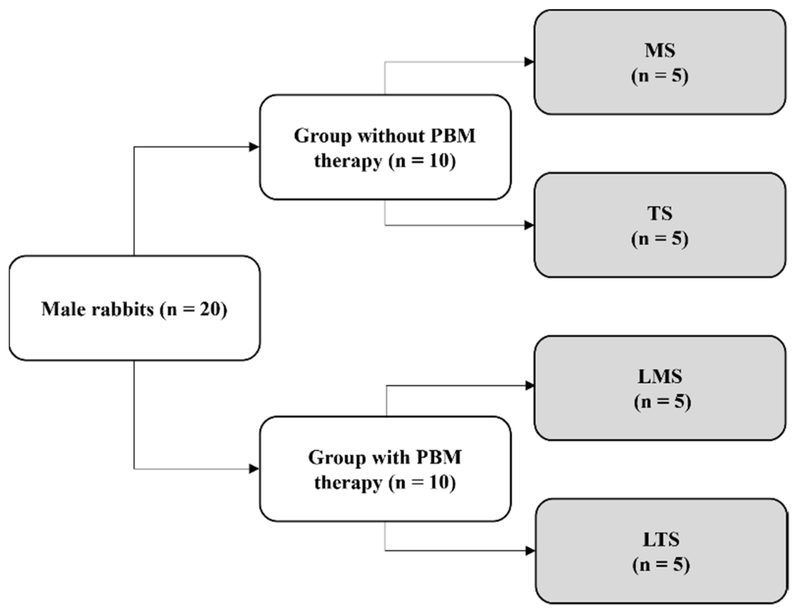 Materials 15 04371 g001