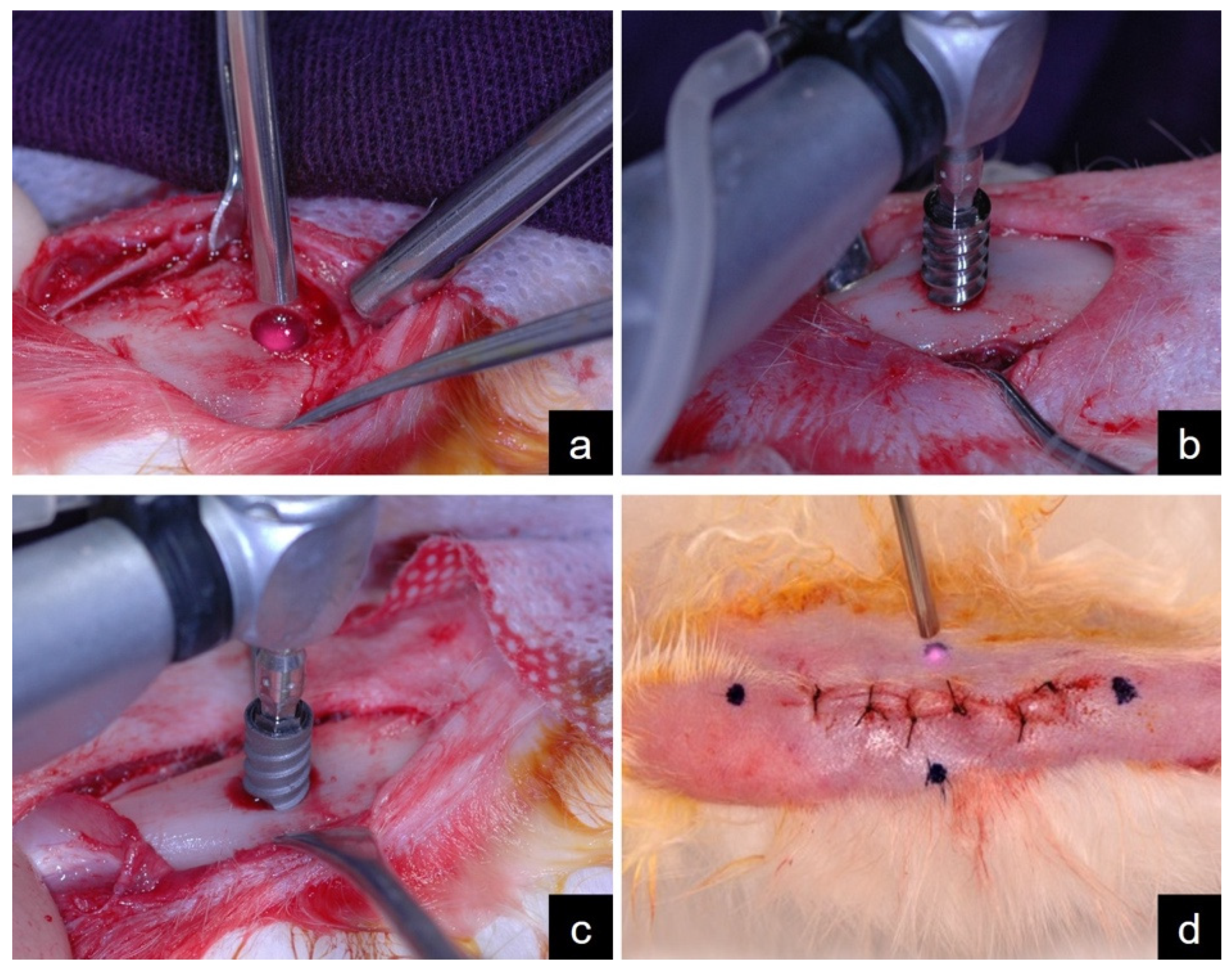 Materials 15 04371 g002