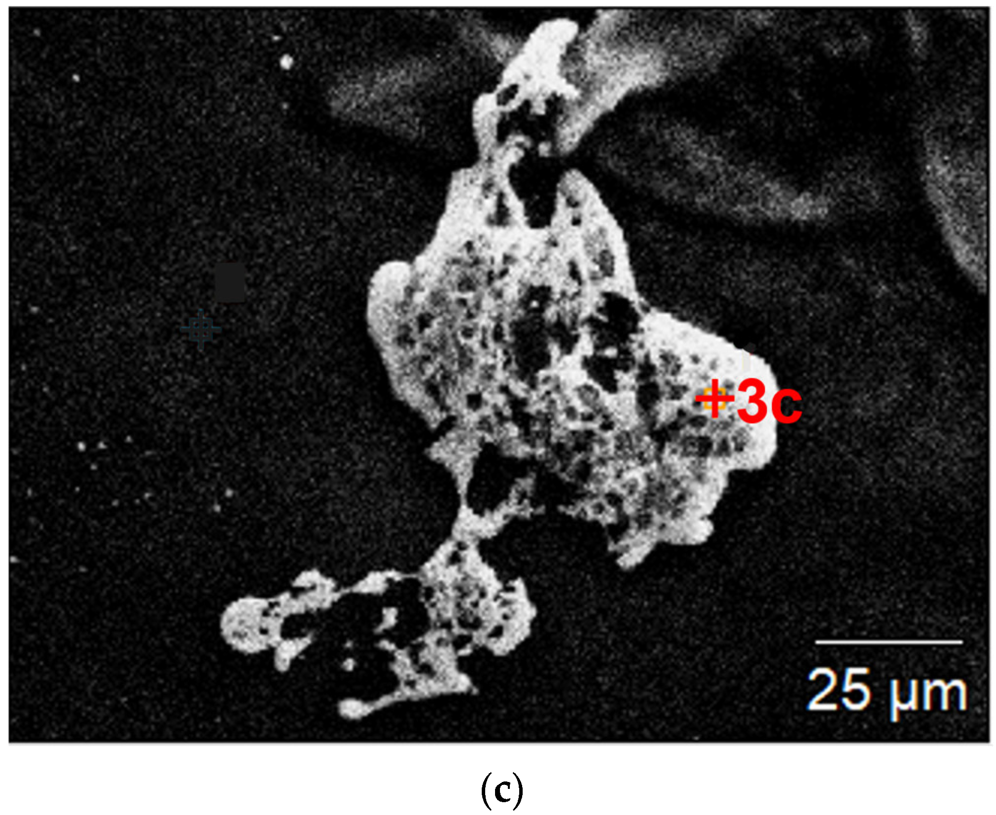 Materials 15 04373 g003b