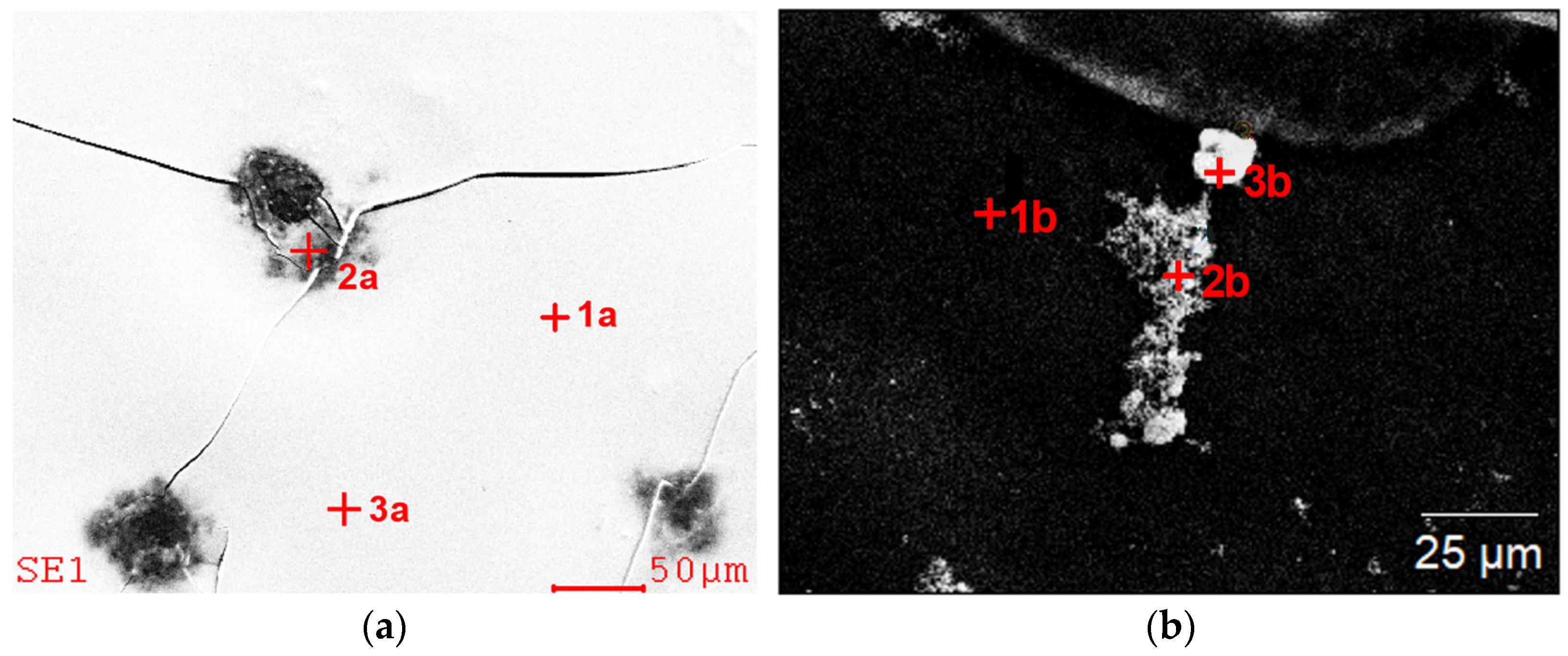 Materials 15 04373 g004