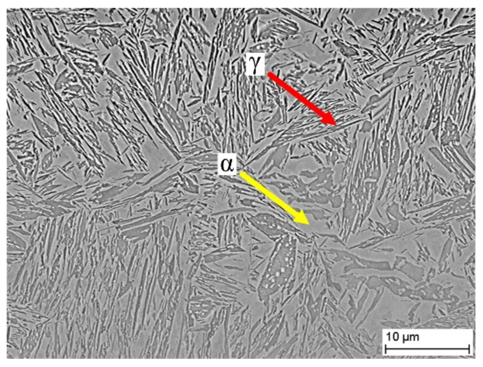 Materials 15 04395 g006