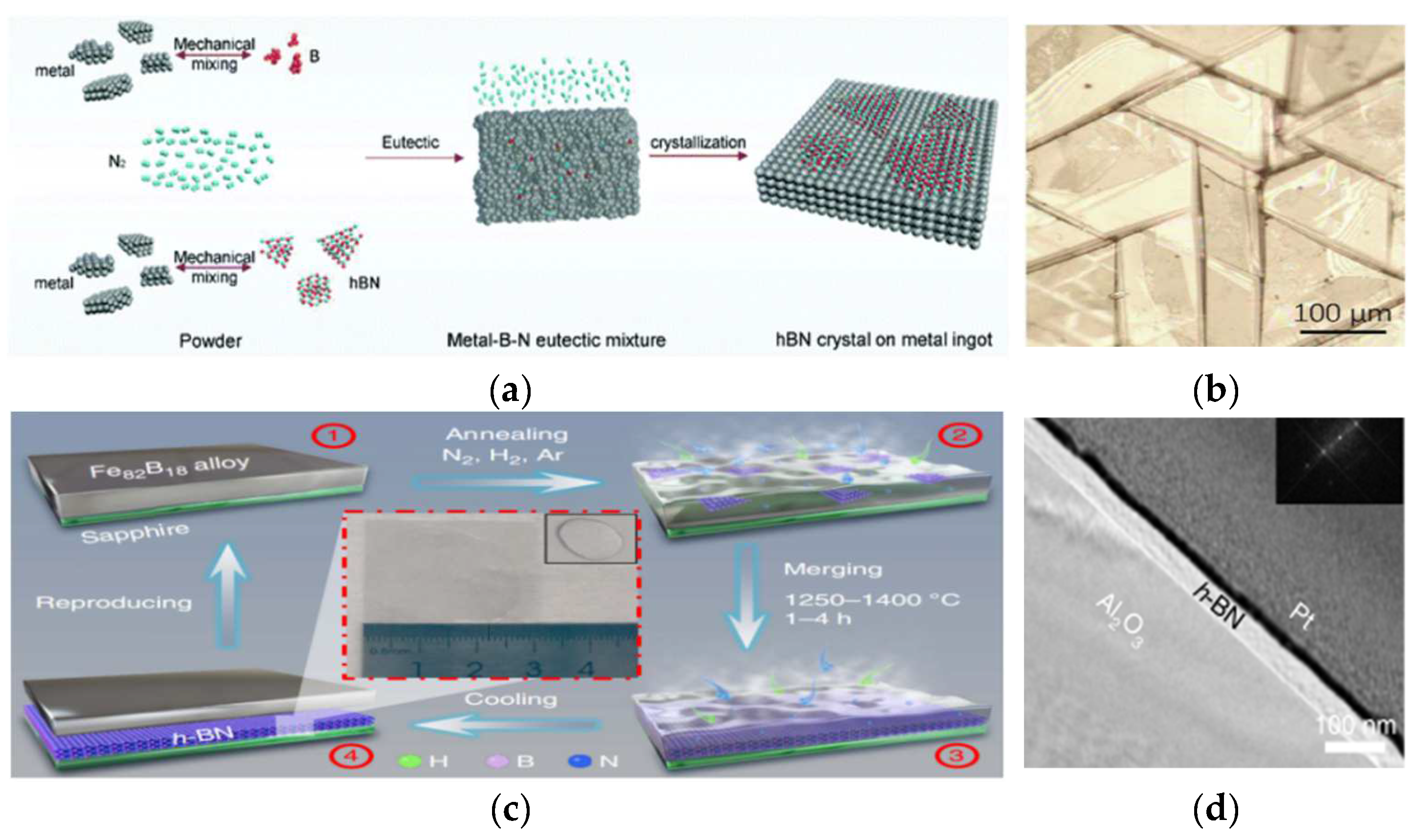 Materials 15 04396 g022