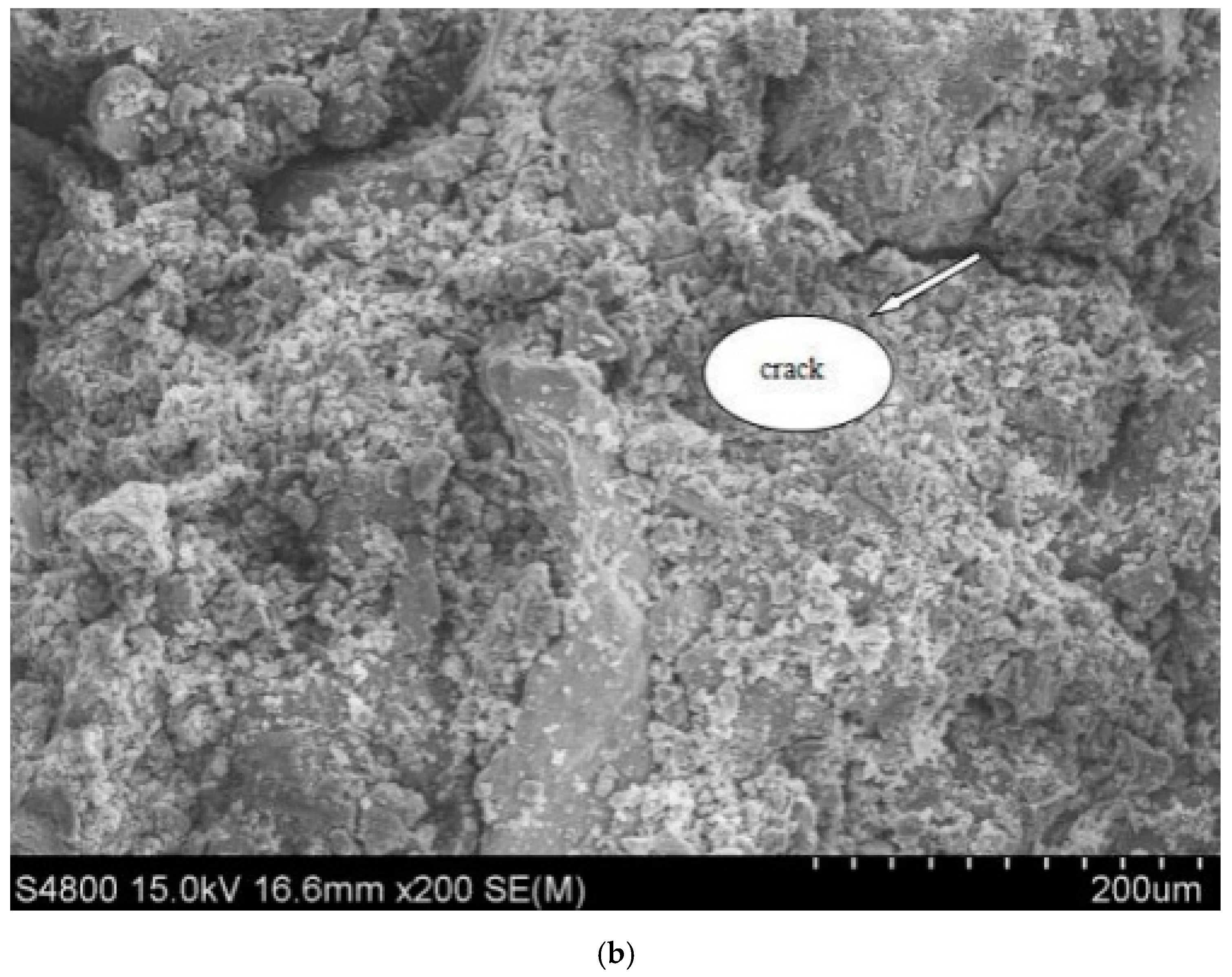 Materials 15 04397 g008b