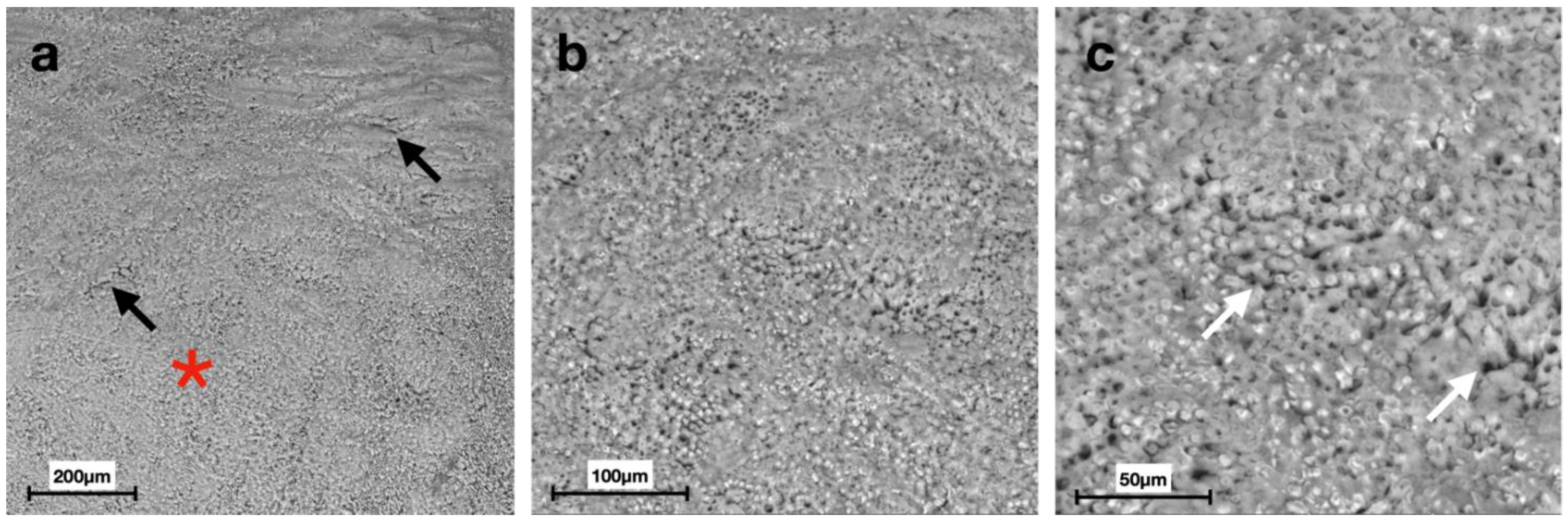 Materials 15 04398 g005