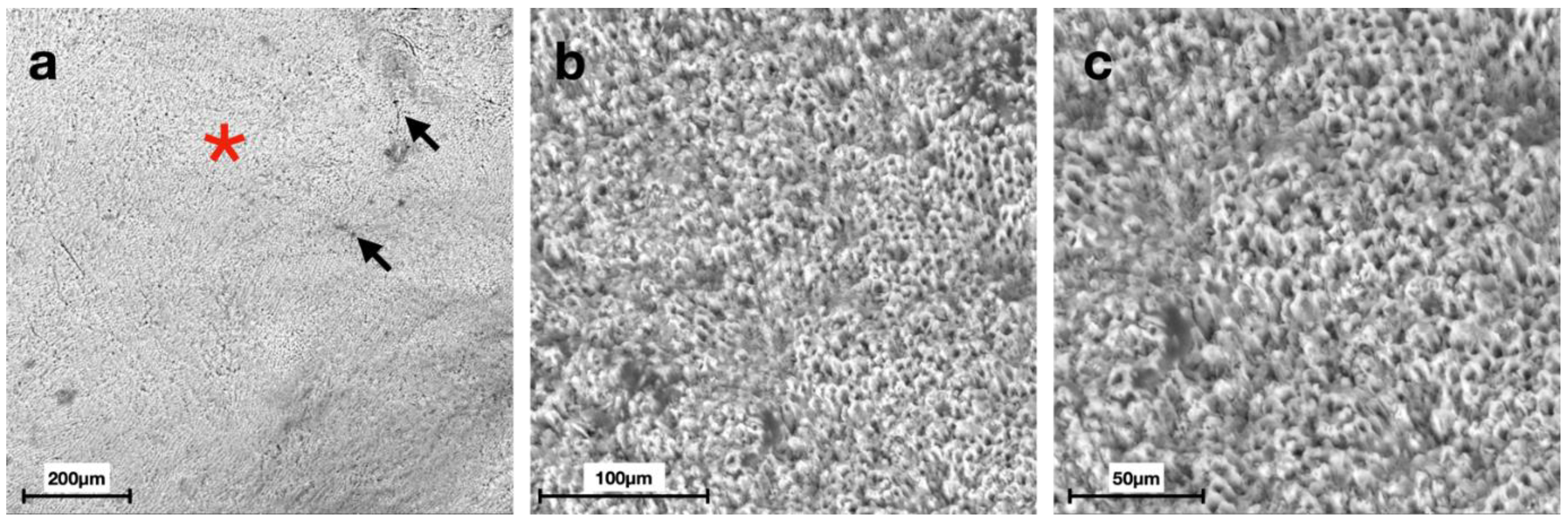 Materials 15 04398 g006