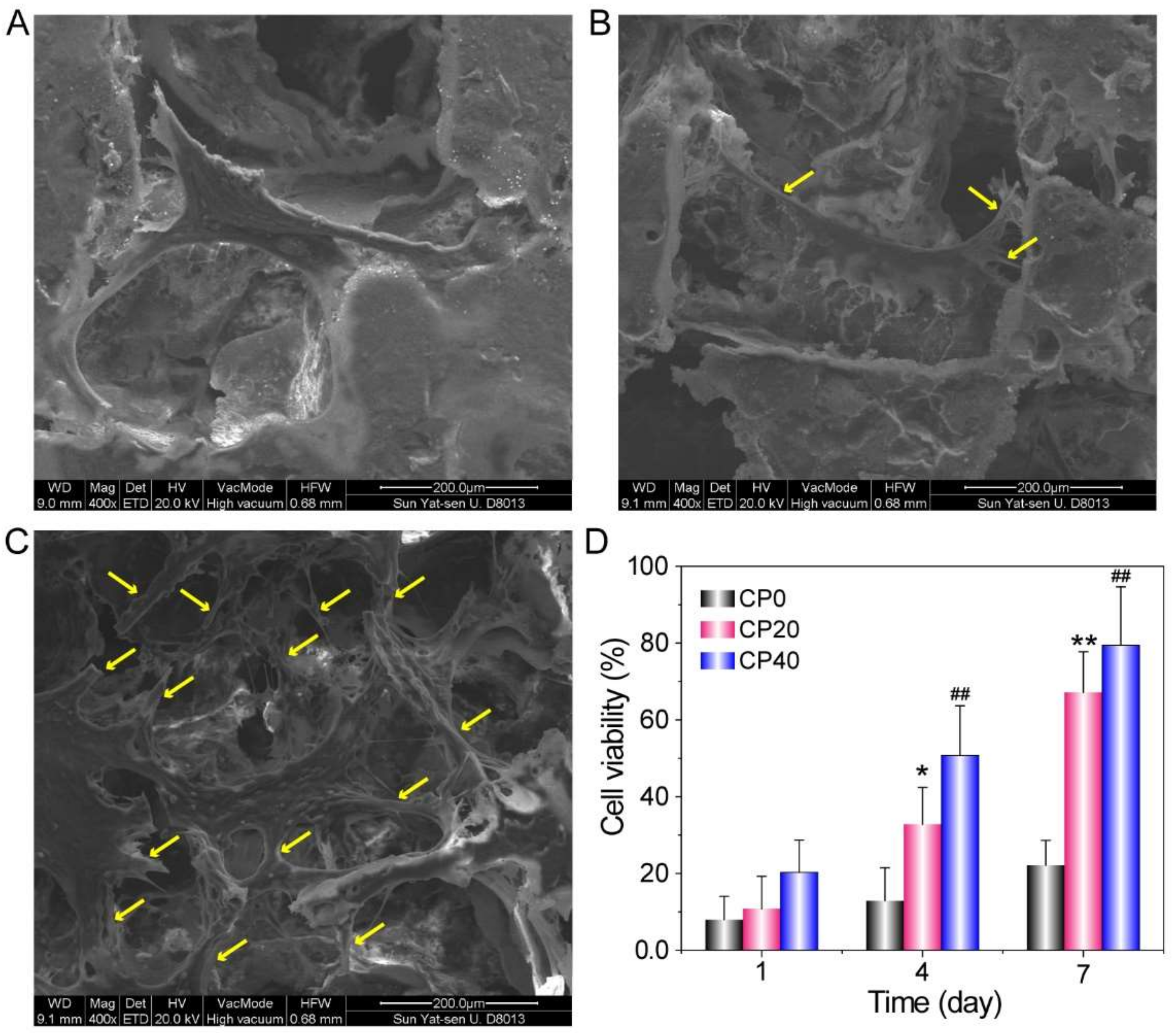 Materials 15 04410 g006