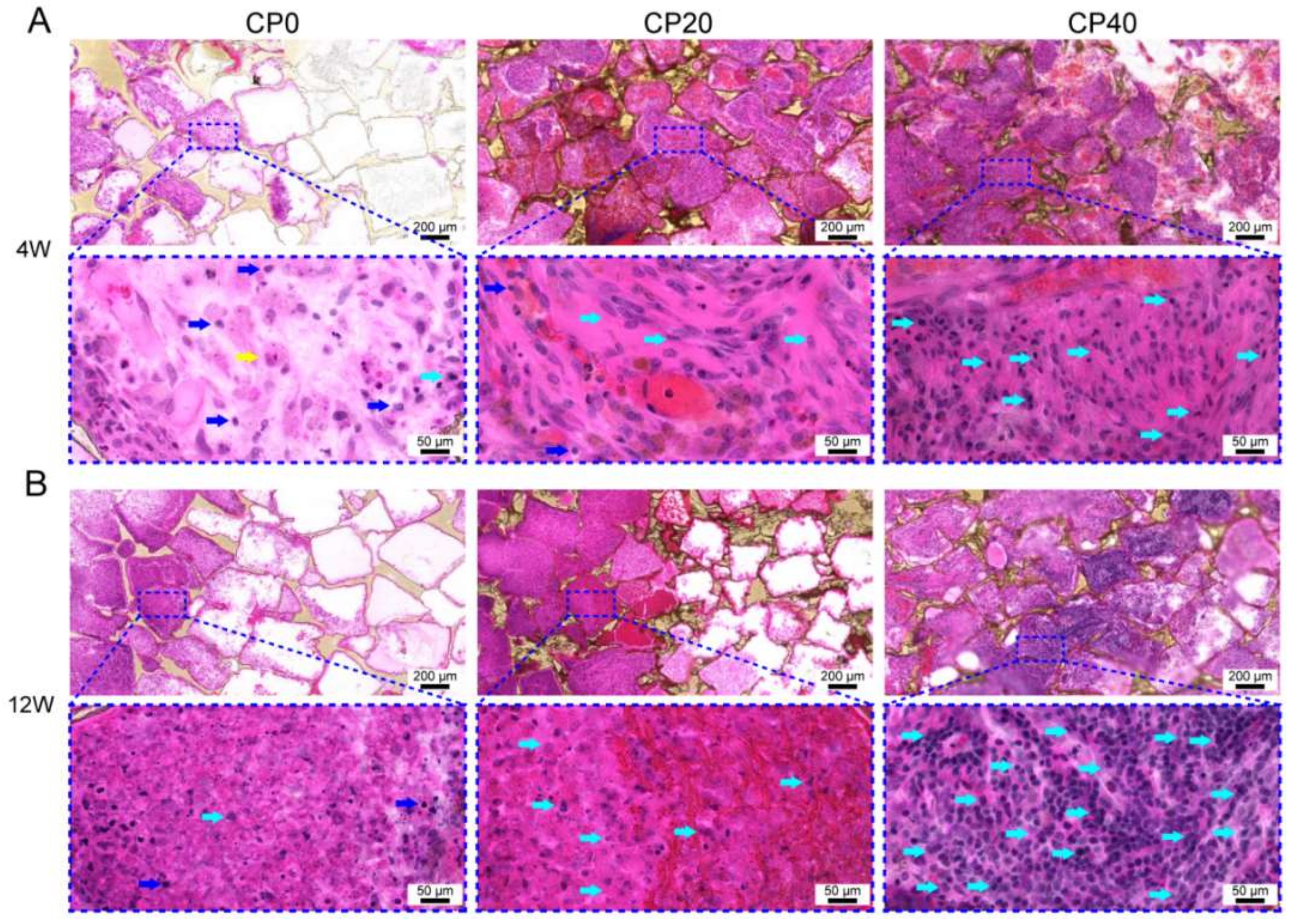 Materials 15 04410 g008